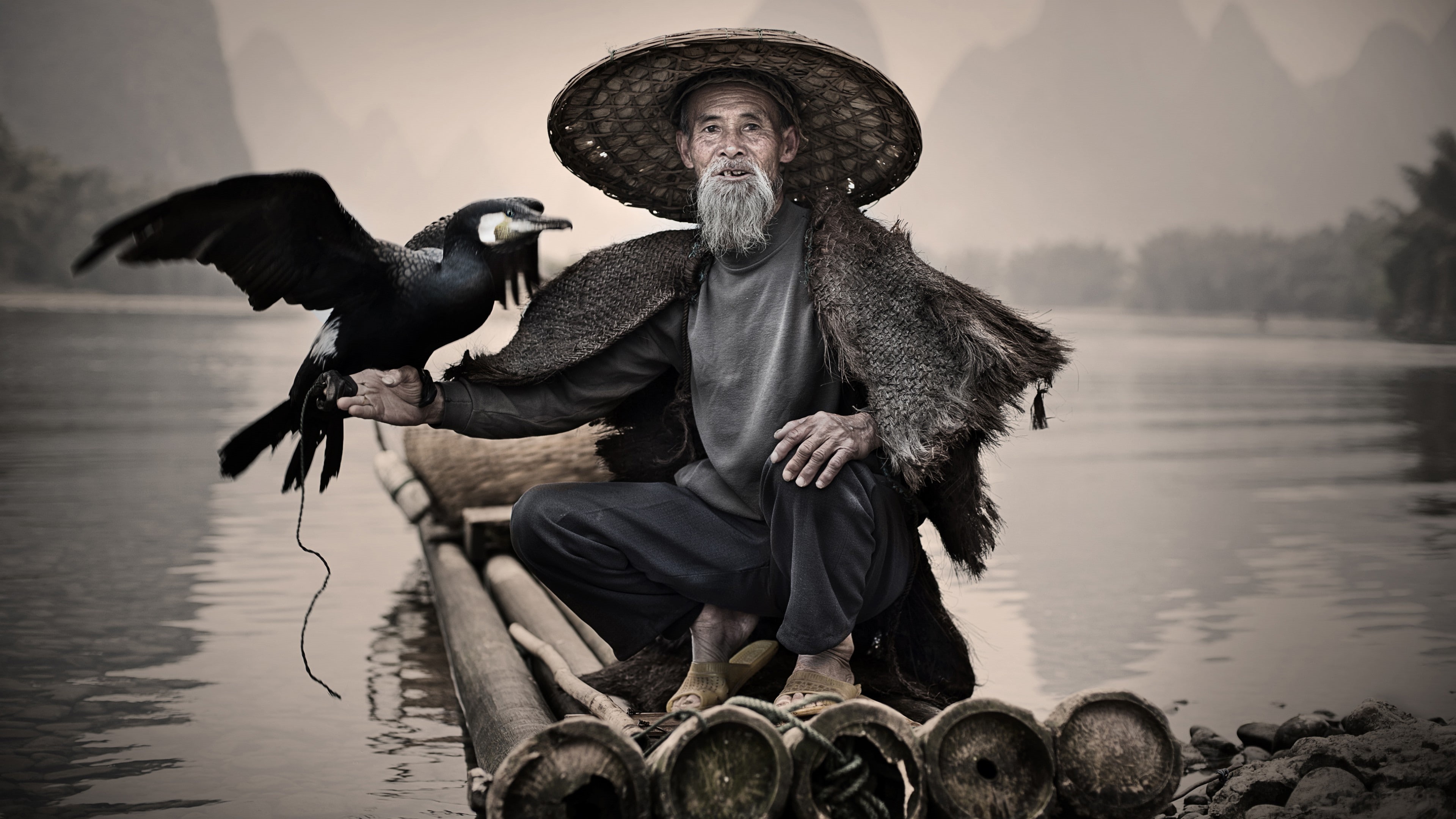 grey, man, China, sitting, National Geographic Traveler Photo Contest, pants, Xingping, Cormorant, bird, 4K, fishing village, Li-River, black, shirt, HD Wallpaper