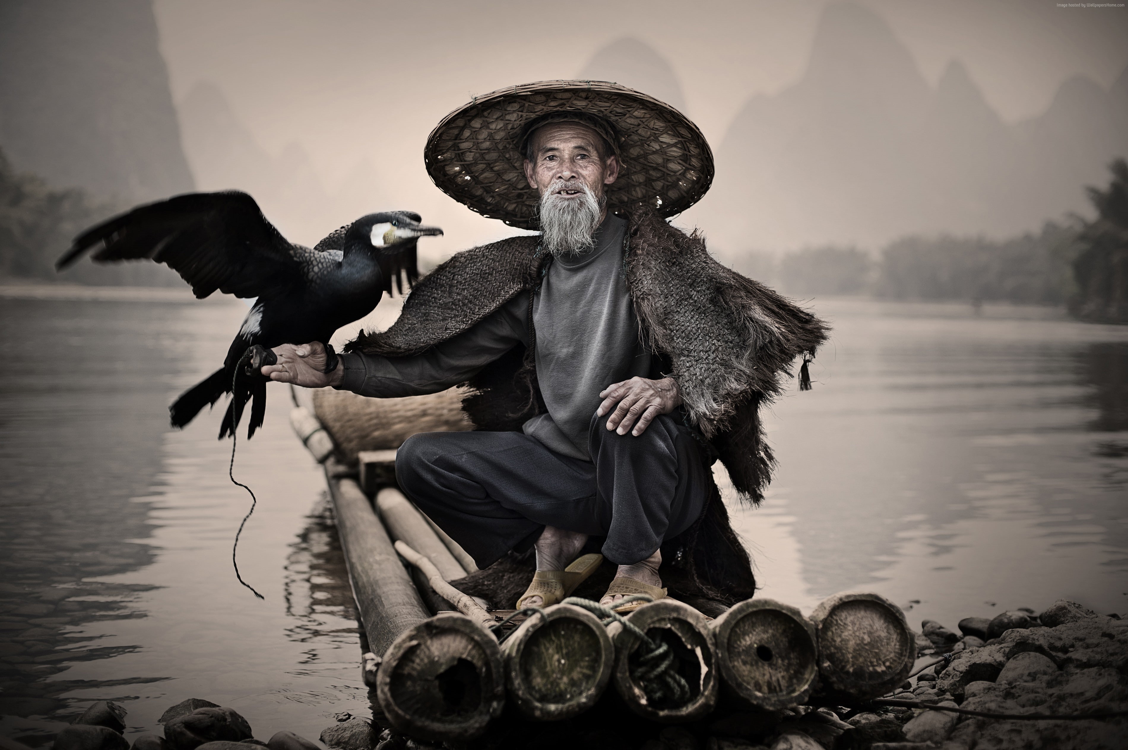 National Geographic Traveler Photo Contest, Xingping, bird, 2K, Li-River, Cormorant, fishing village, China, HD Wallpaper