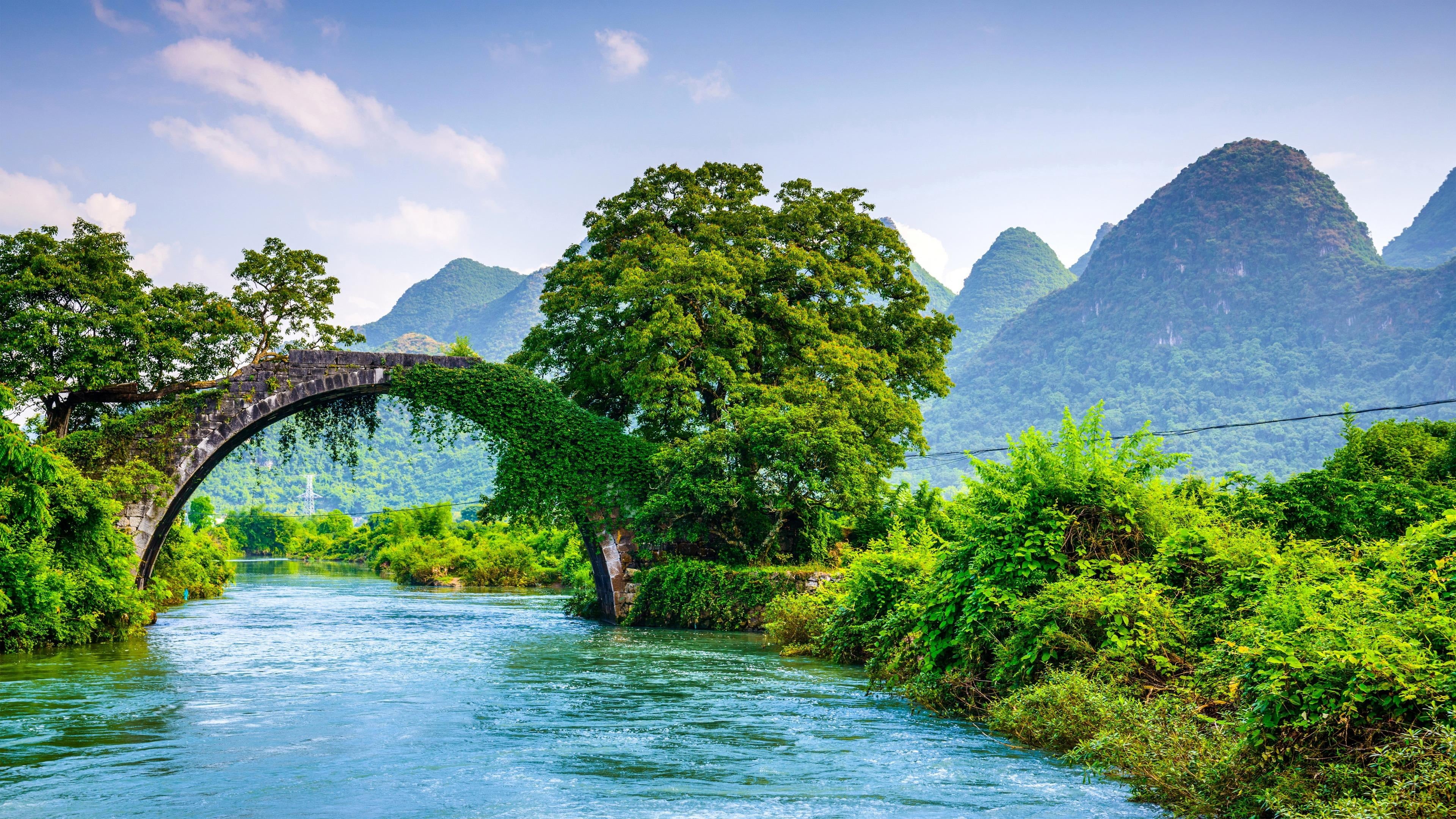 connection, nature, tree, growth, scenics - nature, yangshuo, guangxi, yangshuo park, tranquil scene, yulong river, arch bridge, tranquility, no people, HD Wallpaper