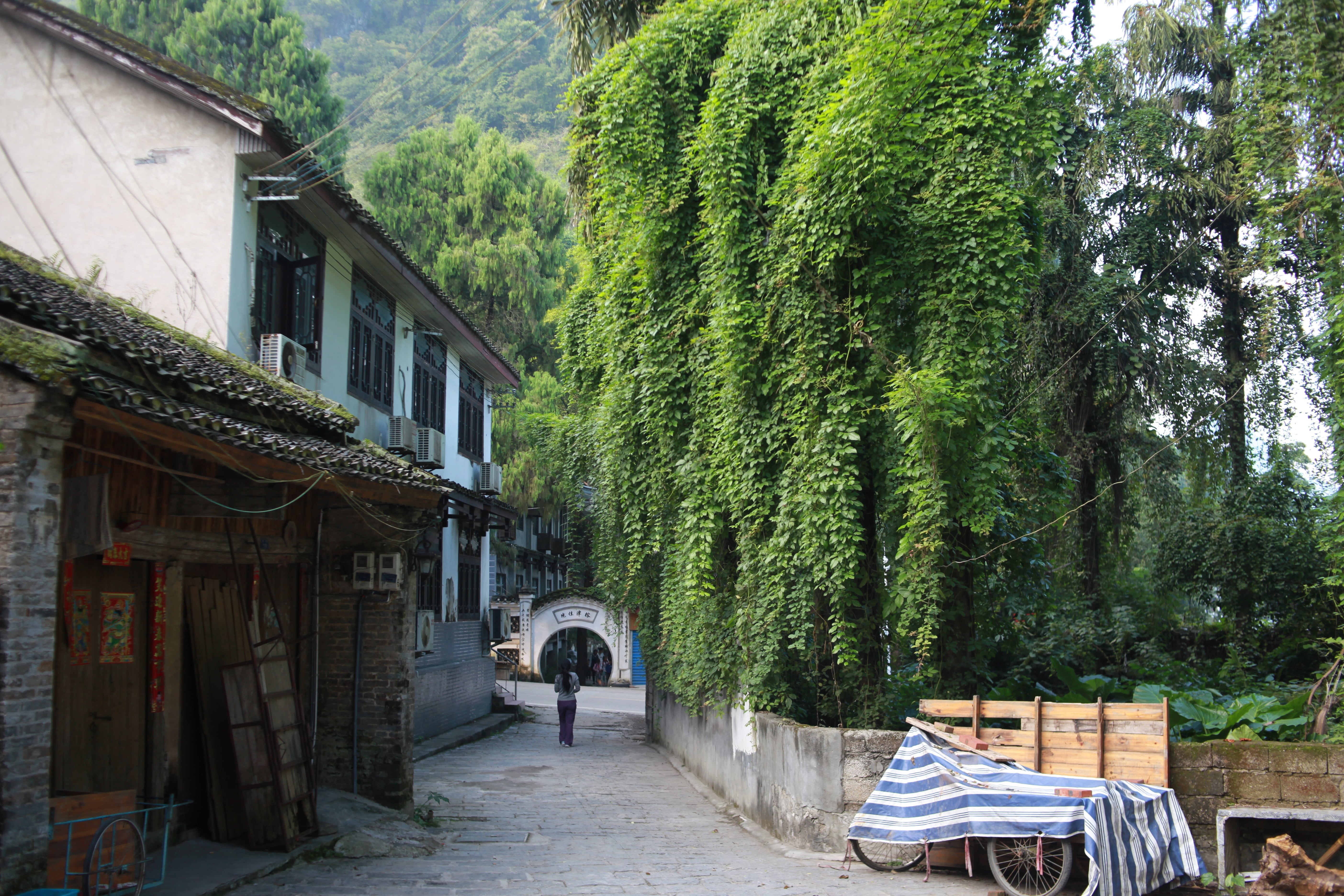 house, no people, day, absence, empty, 5K, plant, old, xingping, architecture, tree, cultures, green color, building exterior, residential district, village, HD Wallpaper
