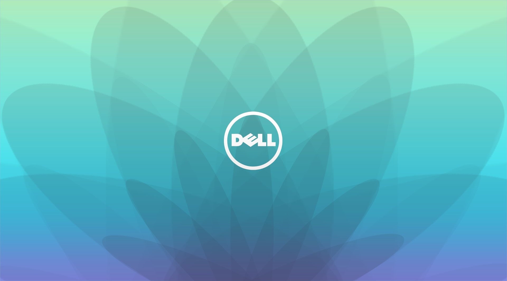 1080P, Dell, Technology, HD Wallpaper