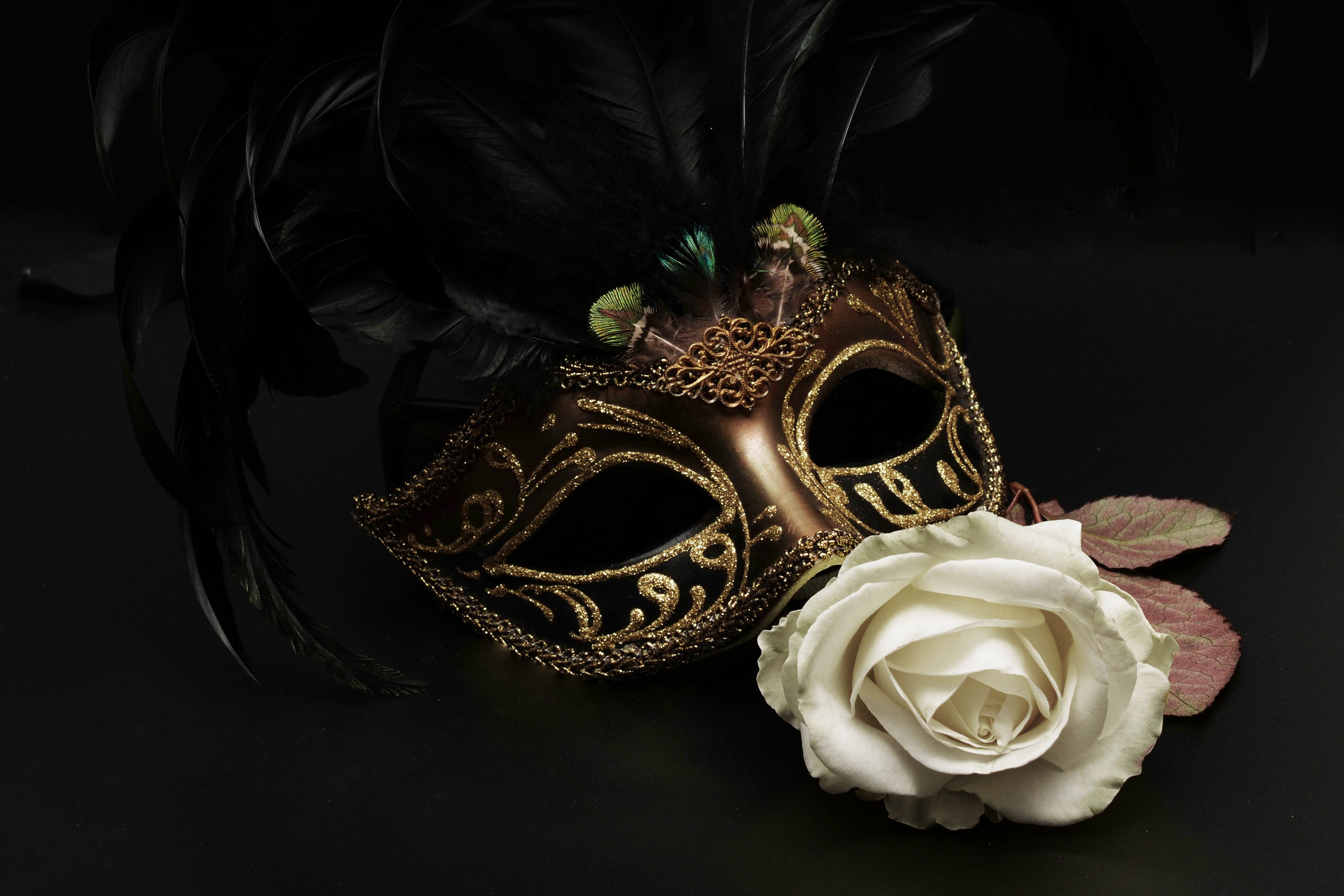near, plant, elegance, masquerade, carnival - celebration event, no people, white, celebration, costume, mask - Disguise, human, venice - Italy, flower, HD Wallpaper