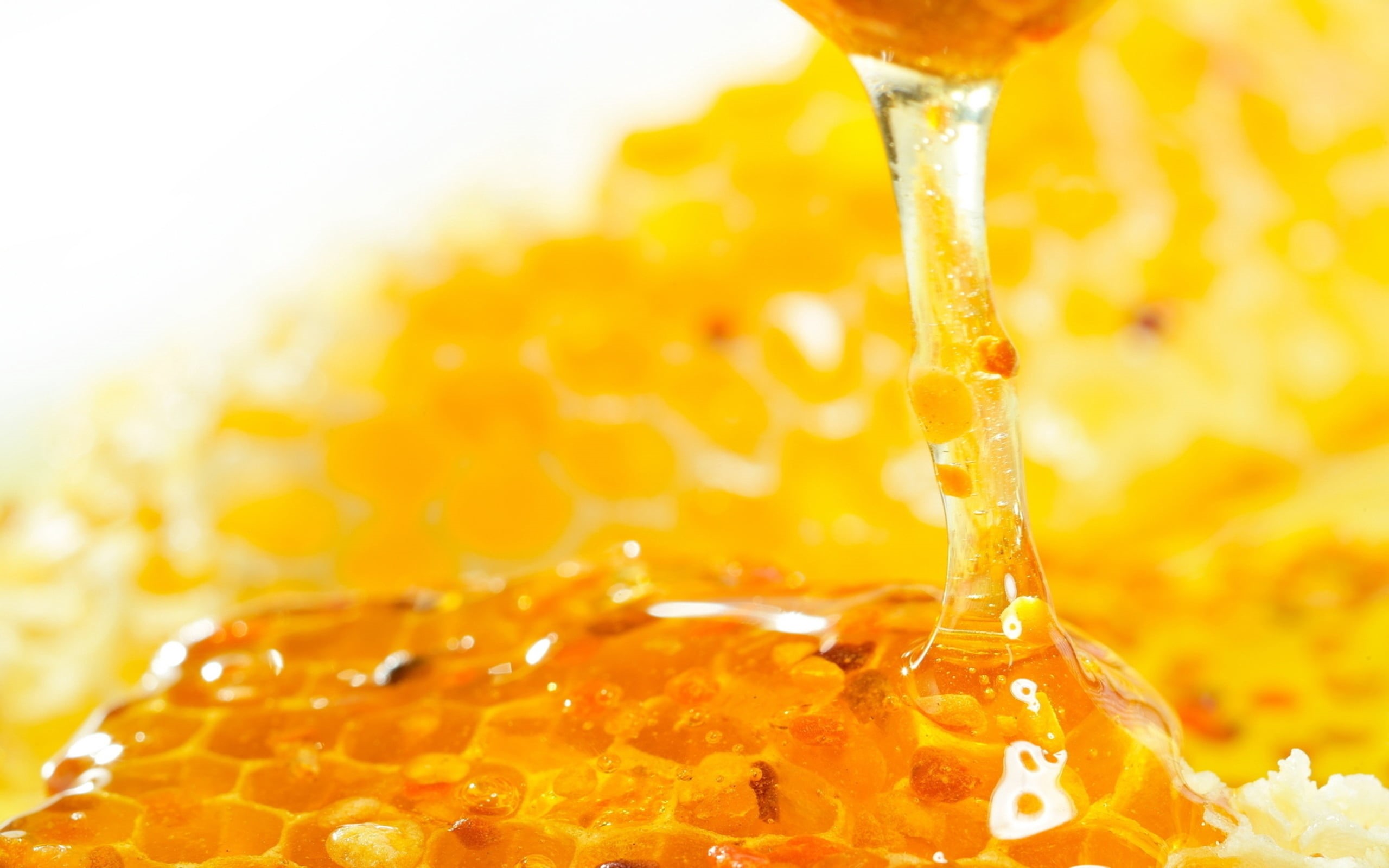 studio shot, food, pouring, cocktail, healthy eating, liquid, macro, freshness, backgrounds, honey, celebration, orange Color, gourmet, food And Drink, HD Wallpaper