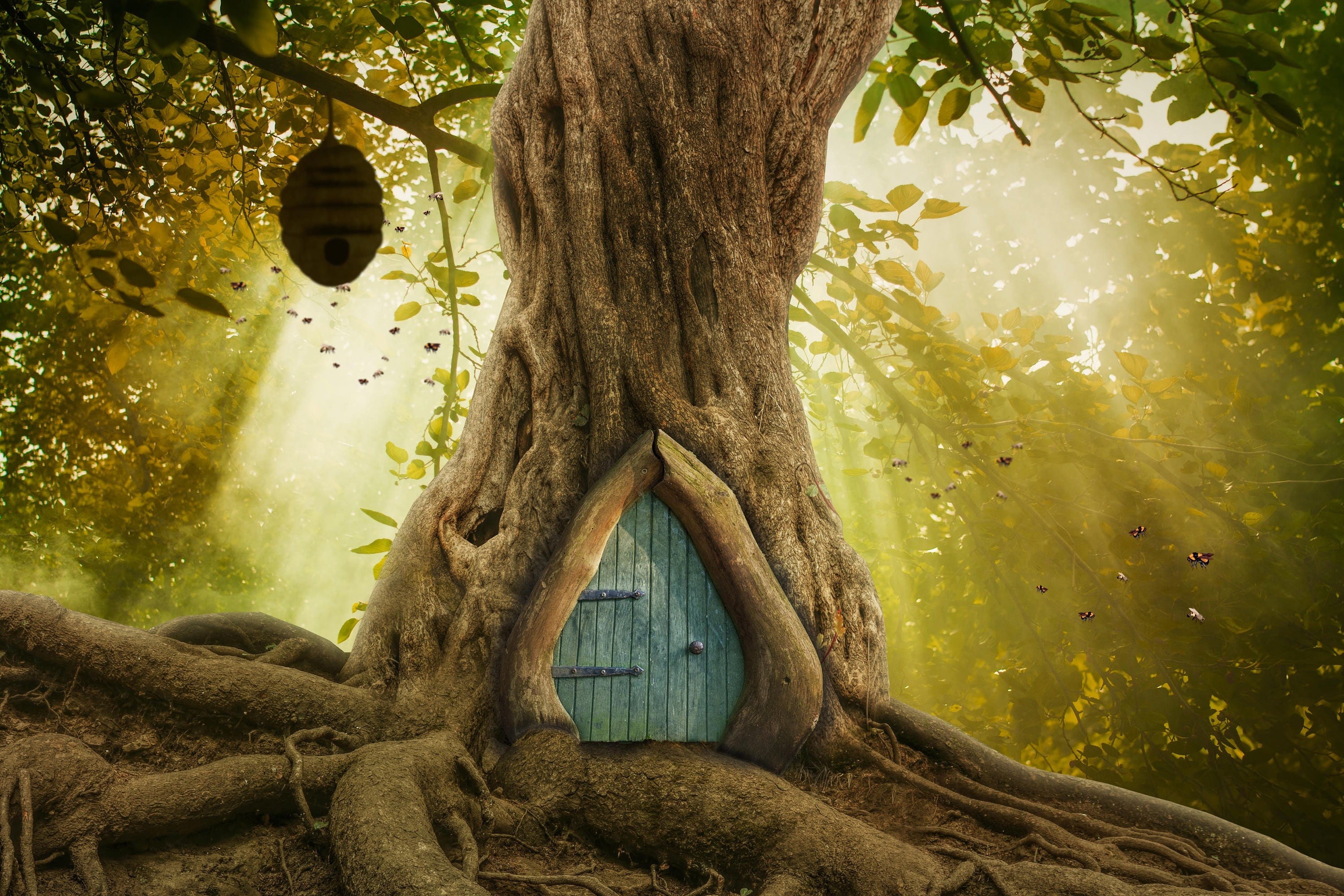trunk, architecture, low angle view, wood, hanging, hour, water, no people, nature, built structure, beauty in nature, tree trunk, golden, tree, outdoors, HD Wallpaper