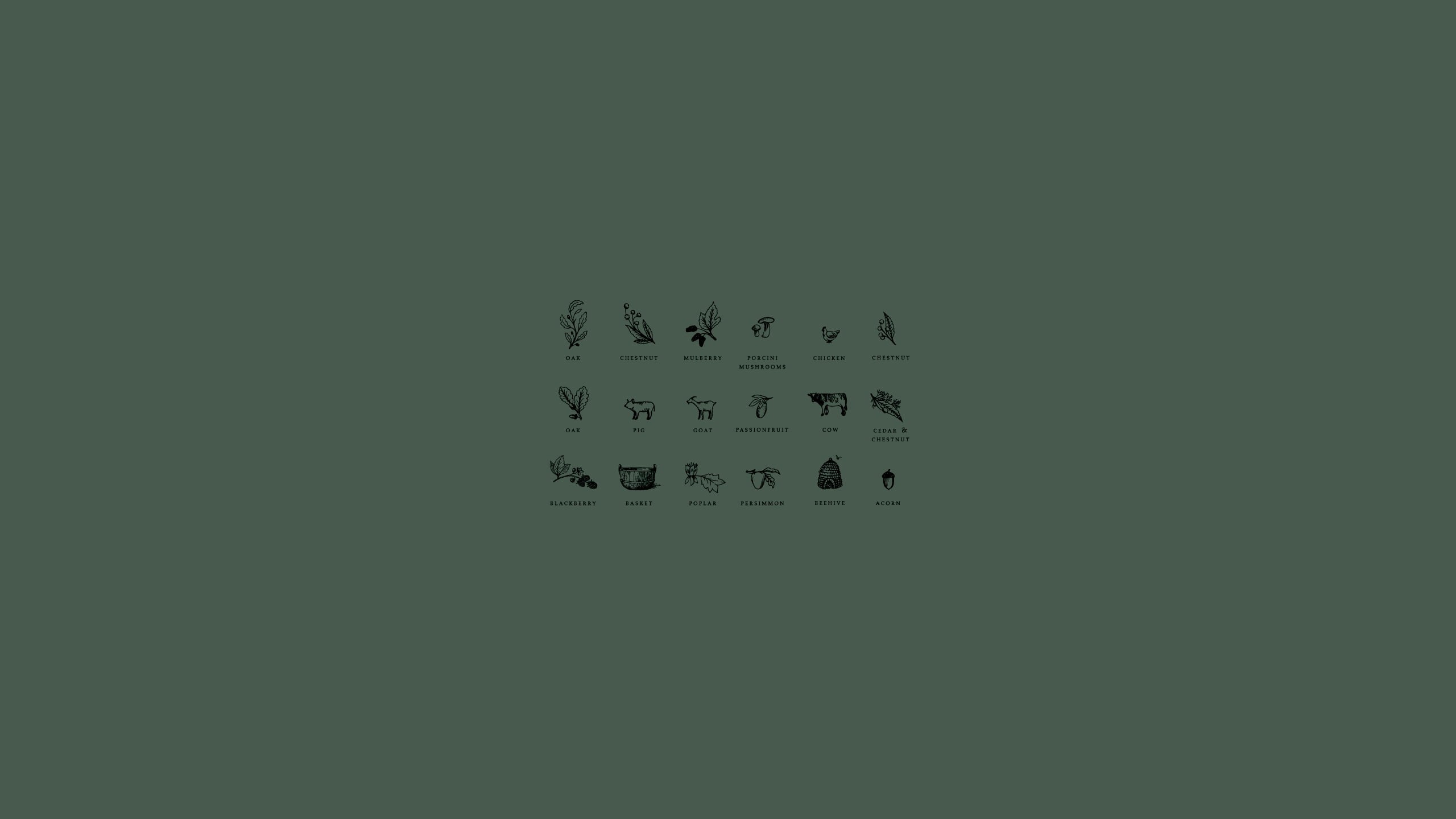large group of objects, basket, capital letter, poplar, technology, cut out, beehive, illustration, cow, oak, goat, green, acorns, western script, Chicken, HD Wallpaper