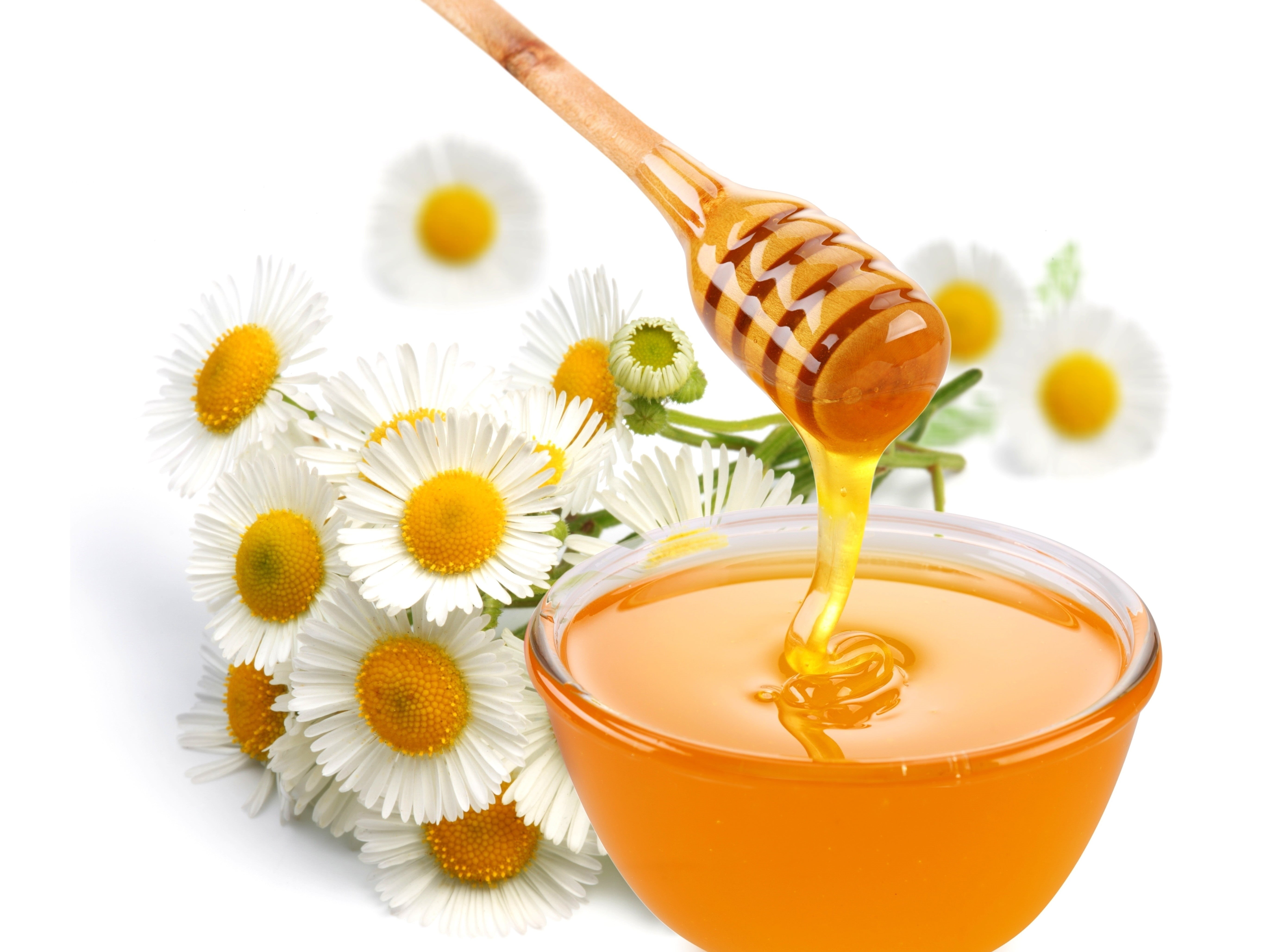 drink, flowering plant, plant, white, liquid, studio shot, syrup, indoors, sweet, rod, sweet Food, close-up, food And Drink, wooden, honey Dipper, nature, HD Wallpaper