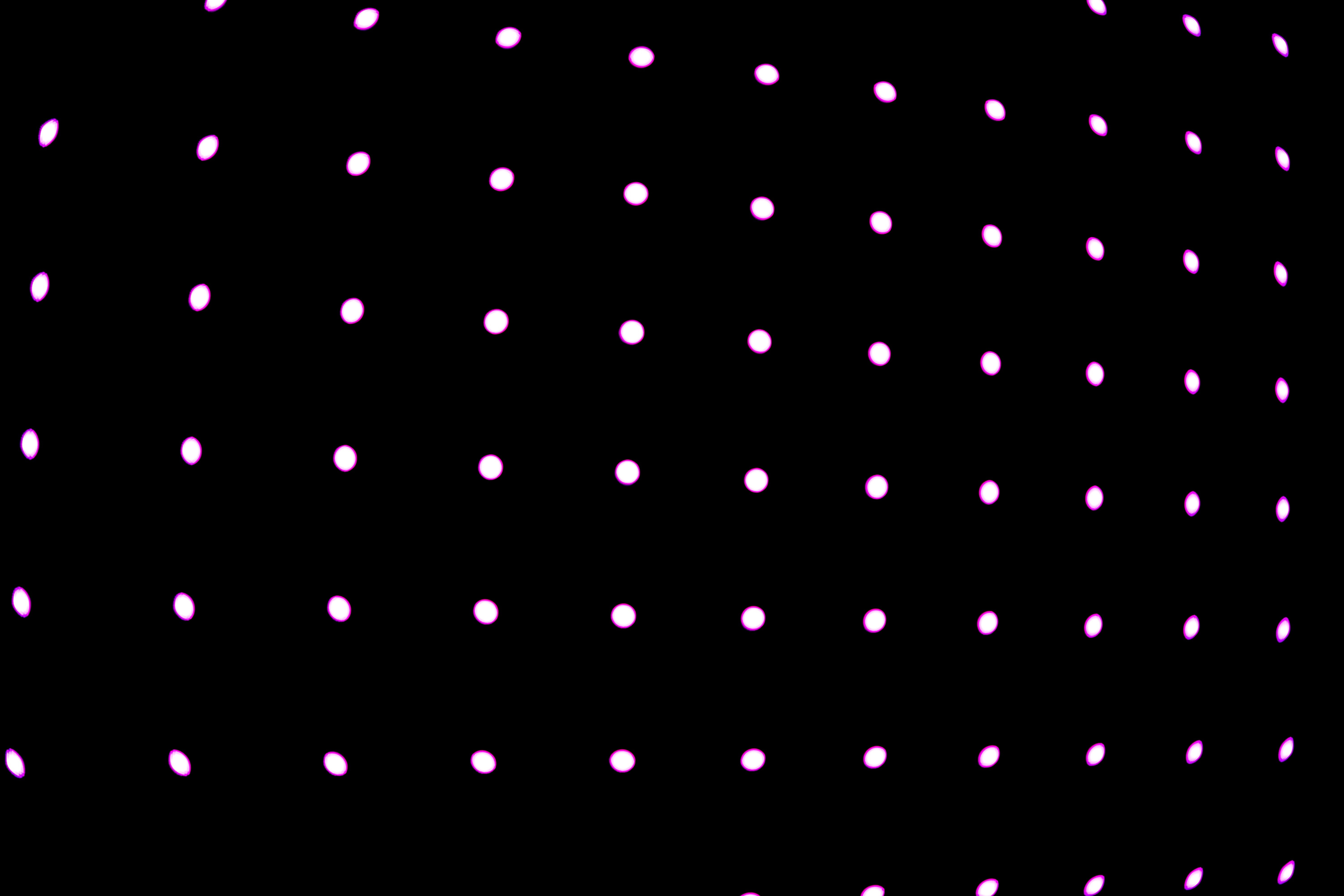 lights, full frame, copy space, white, defocused, black background, geometric shape, technology, spotted, fashion, pink color, repetition, textured effect, HD Wallpaper
