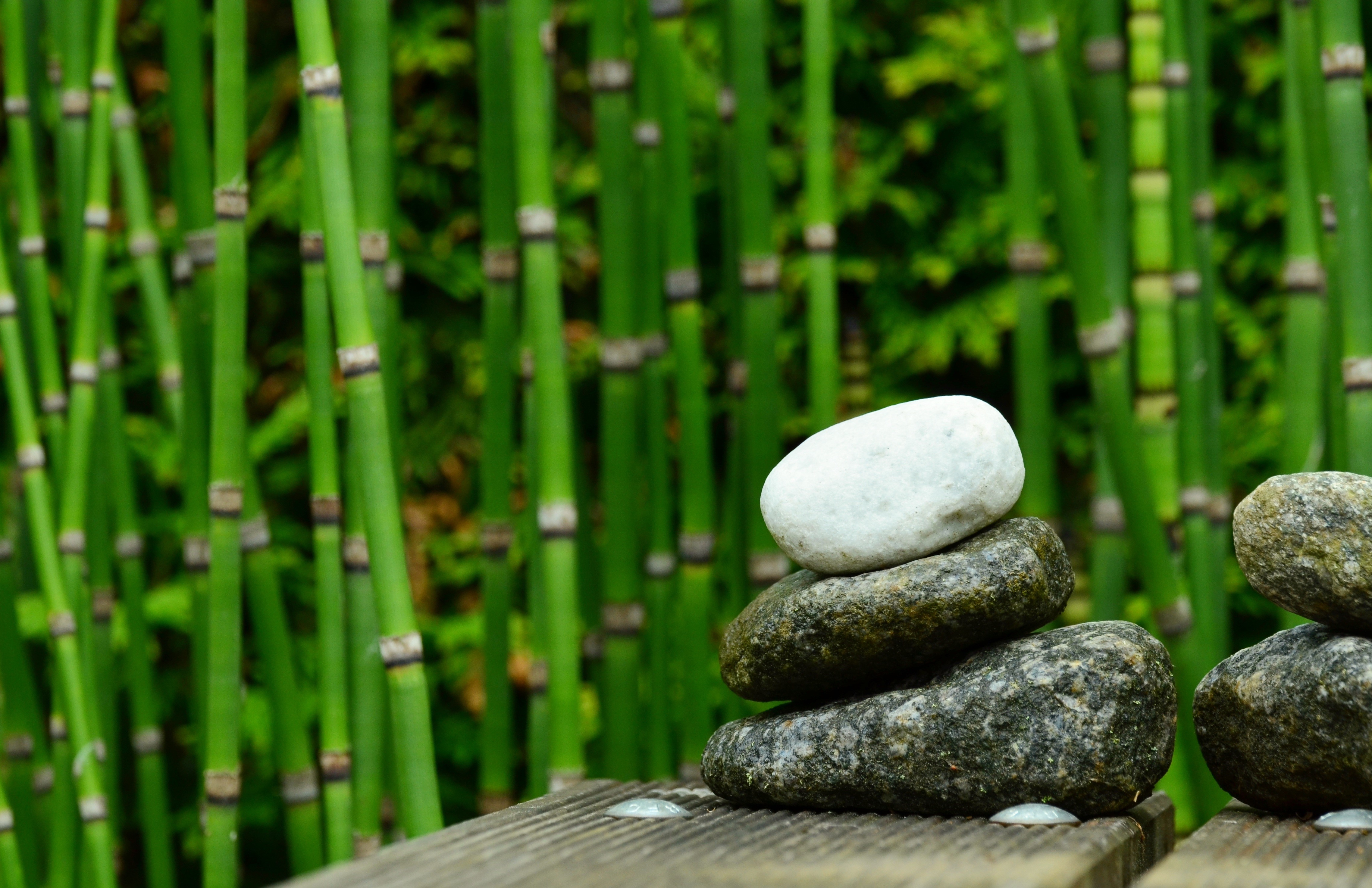 tranquil Scene, solid, water, gray, zen-like, pebble, focus on foreground, relax, stones, day, stack, tranquility, green, garden, piled, plant, close-up, HD Wallpaper