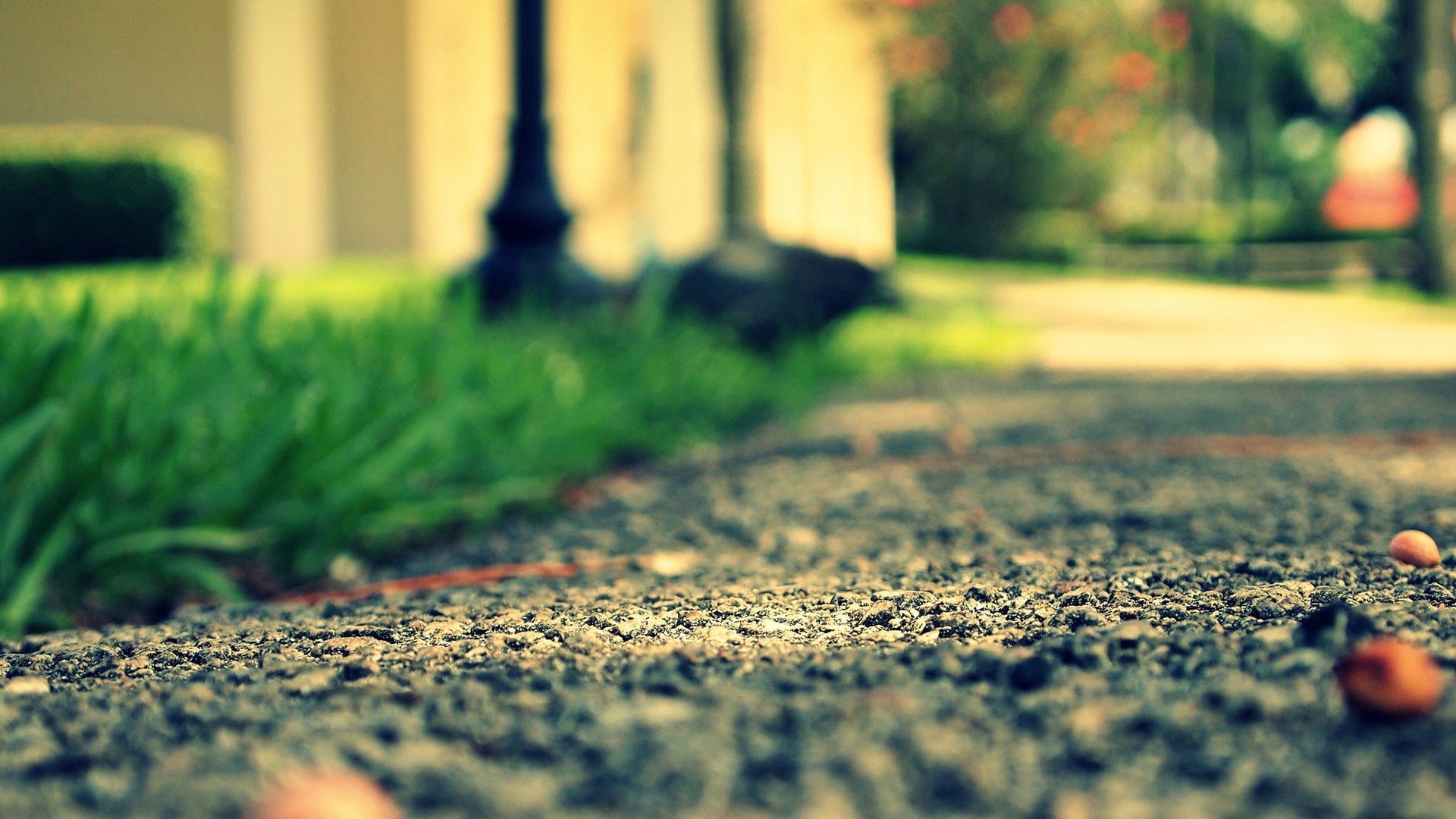 blur, 1080P, nature, hd, macro, ground, HD Wallpaper