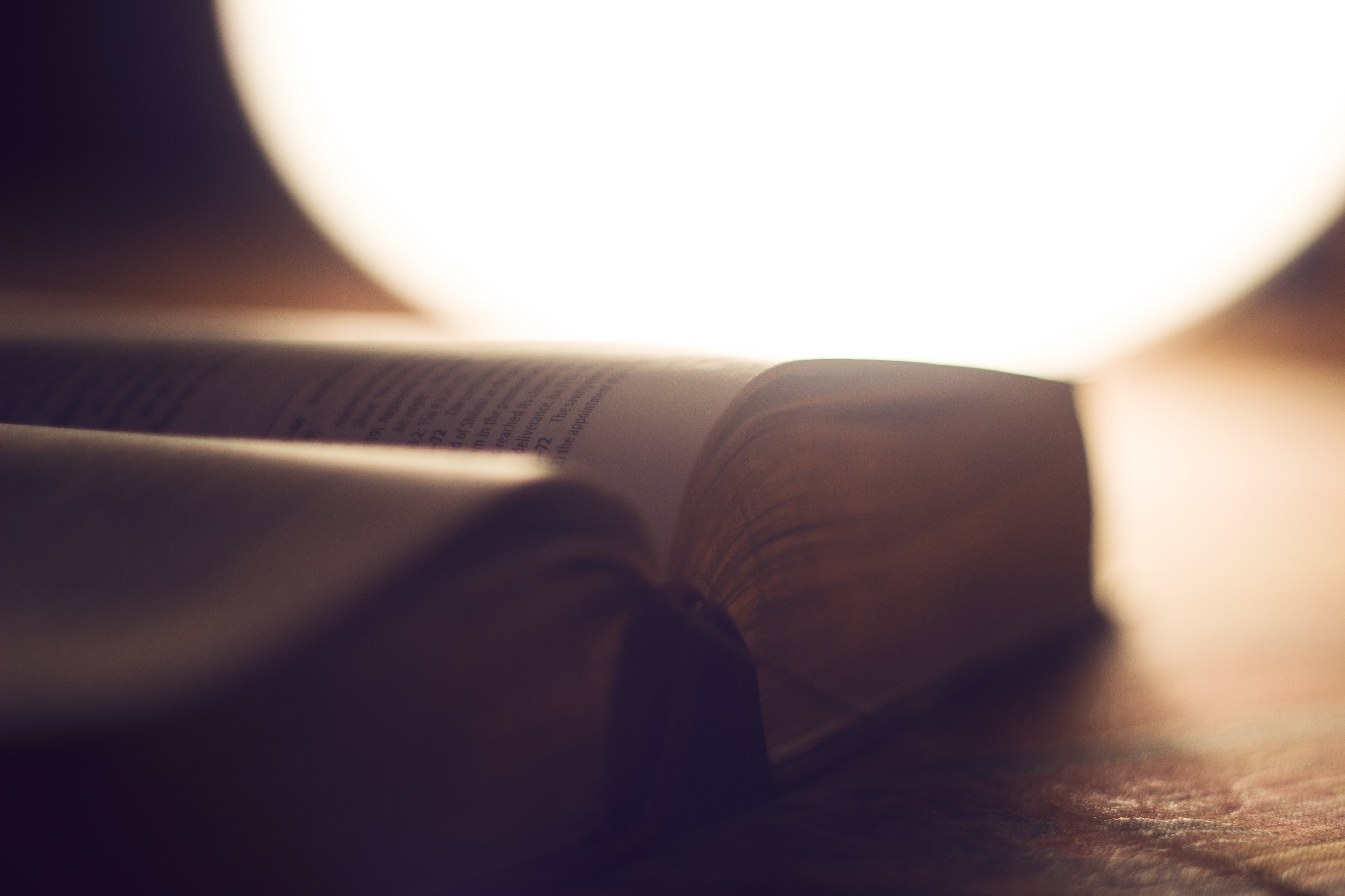 bible, luxury, book, business, paper, still life, macro, indoors, copy space, single object, communication, shadow, selective focus, blur, seat, open, sofa, HD Wallpaper