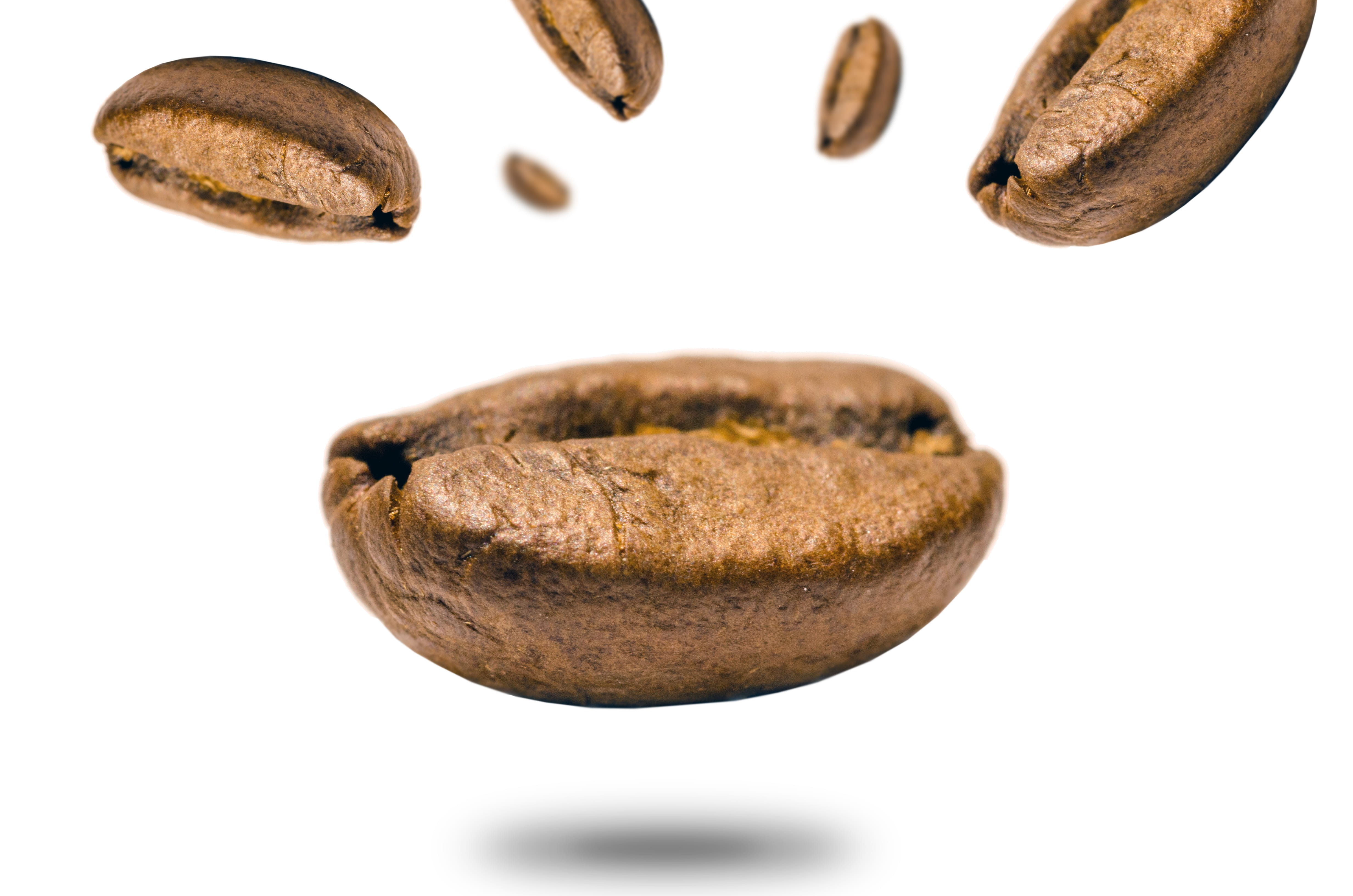 no people, beans, focus, snack, brown, coffee, grains, 4K, seeds, coffee beans, nut, indoors, vegetable, photo, close-up, two objects, healthy eating, HD Wallpaper