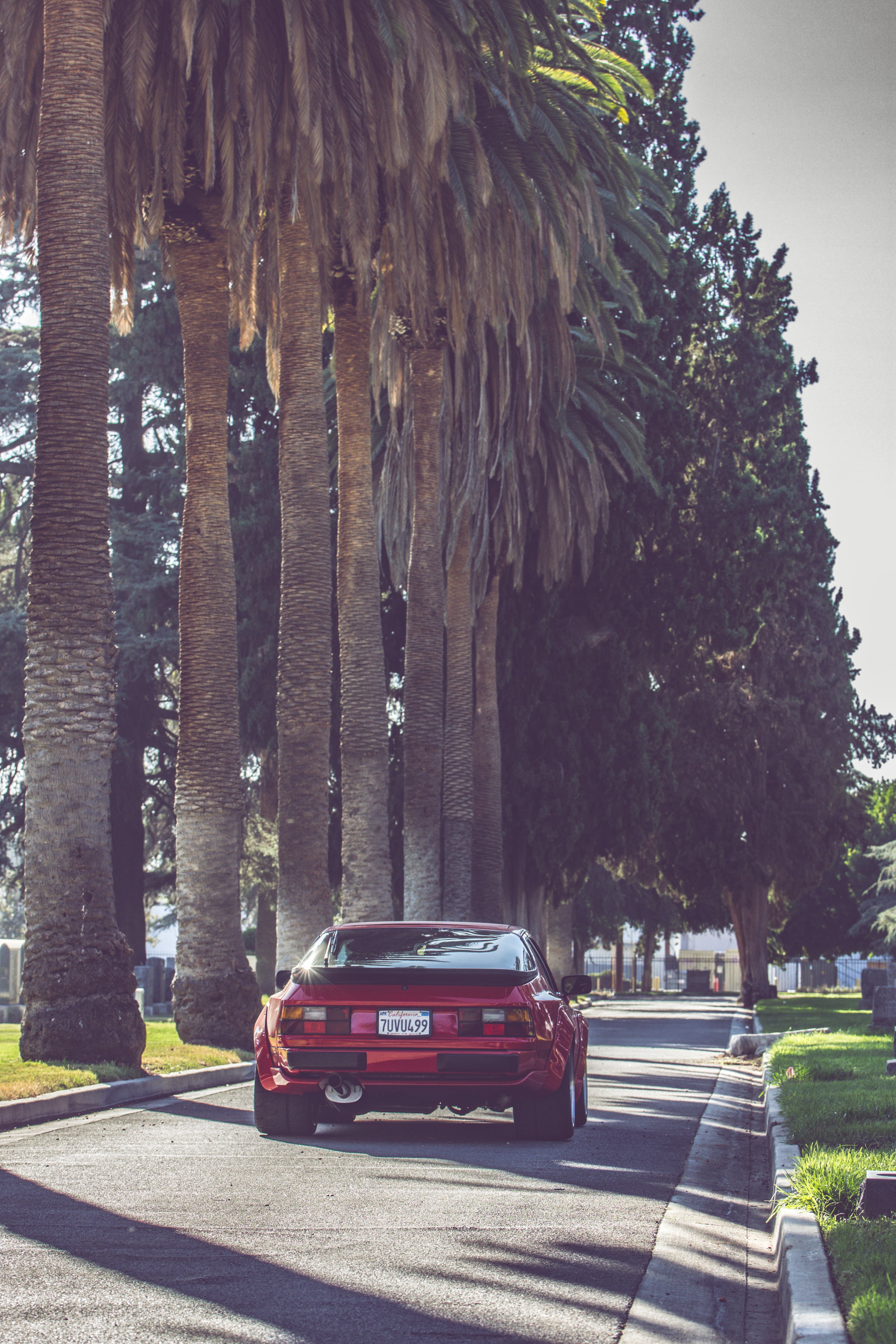 road, nature, car, on the move, motor vehicle, transportation, tree, mode of transportation, motion, vehicle, no people, race cars, day, blurred motion, Phone HD Wallpaper