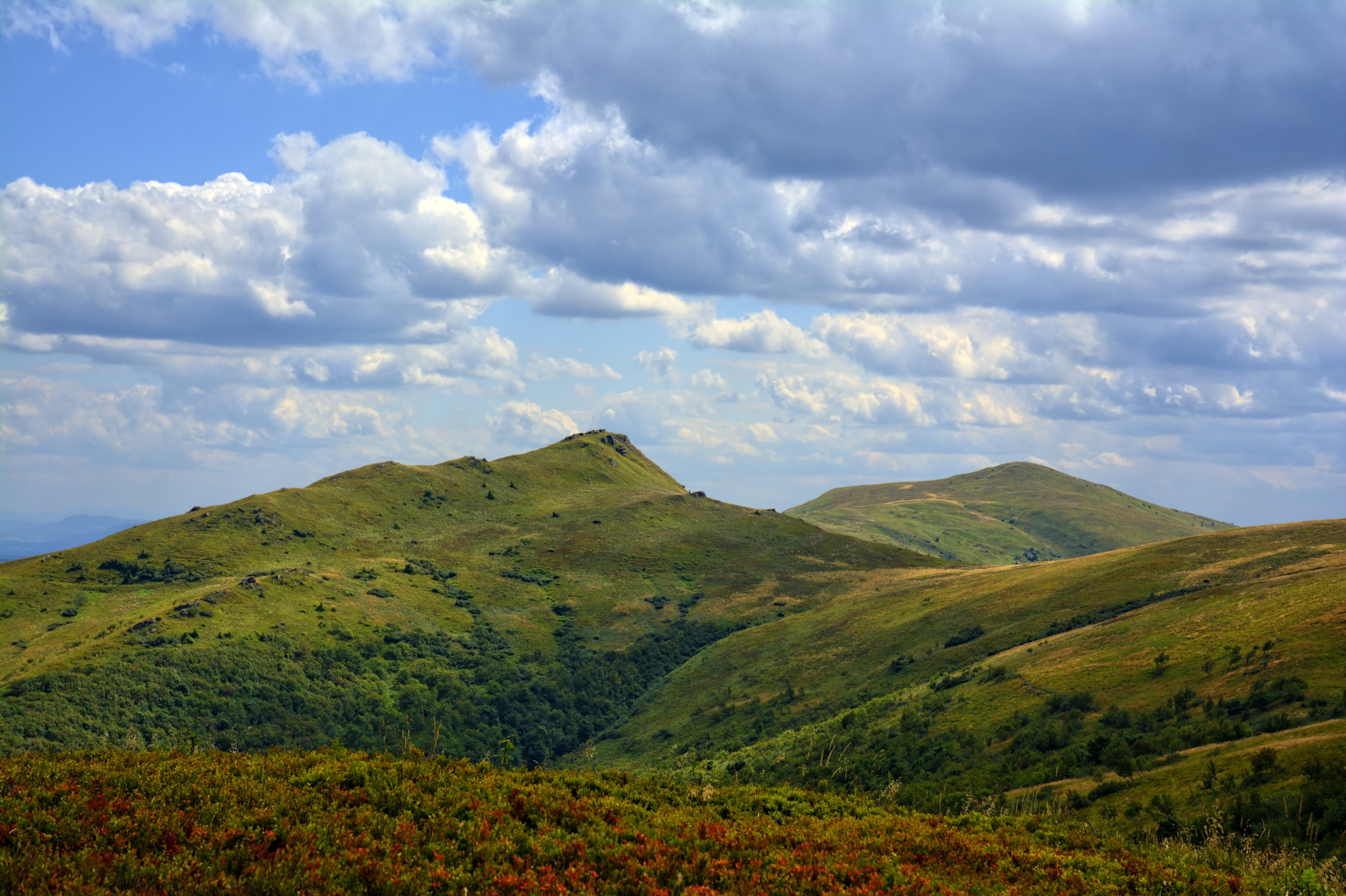 green, poland, bieszczady, panorama, peace of mind, environment, view, mountain ridge, sky, mountains, sunny, grass, tranquil scene, idyllic, no people, HD Wallpaper