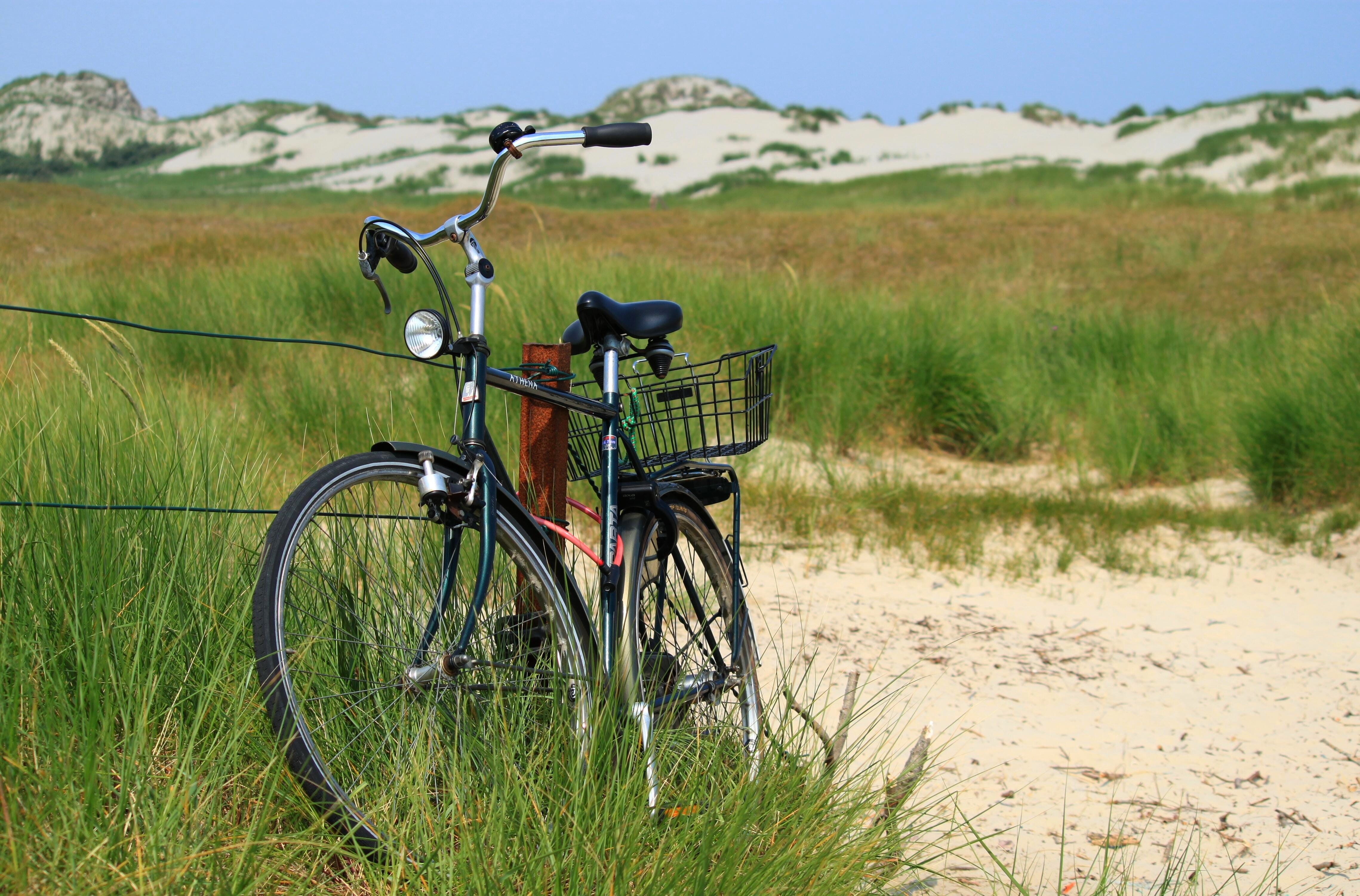 green color, sunlight, maritime, focus on foreground, green, 4K, mode of transportation, absence, bicycle, dunes, norderney, plant, day, travel, landscape, HD Wallpaper