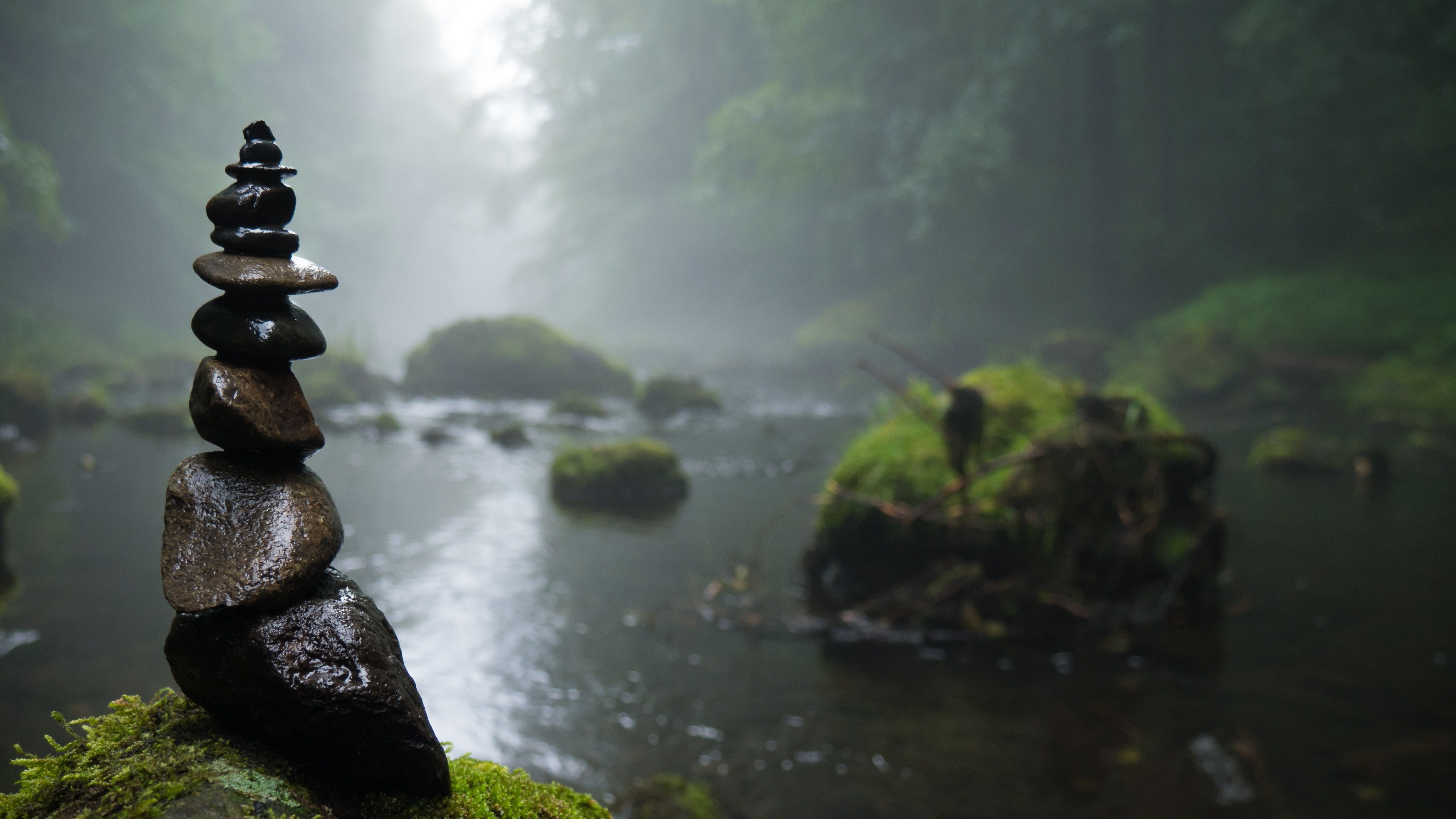 4K, zen, HD Wallpaper