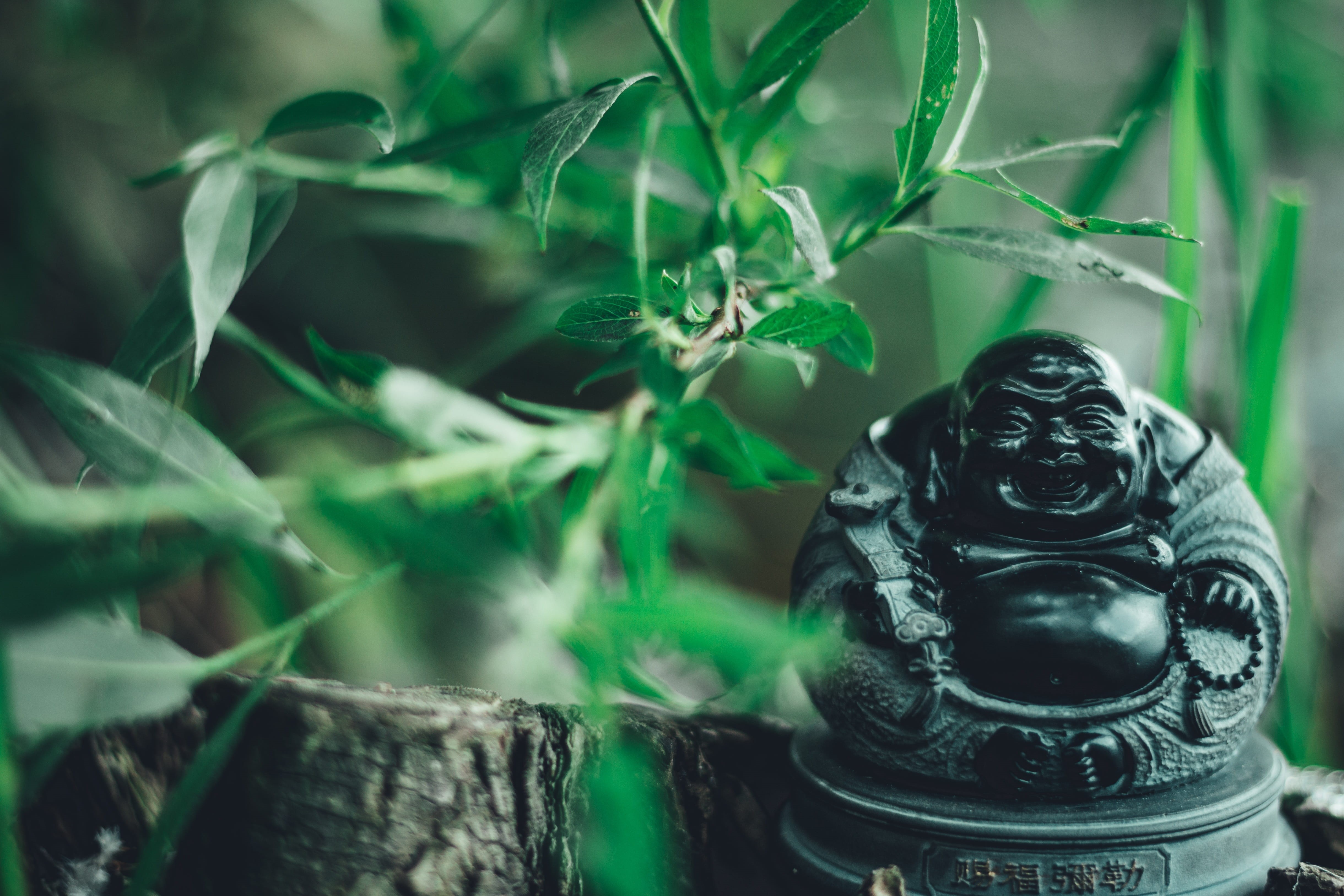 outdoors, symbol, relaxation, meditation, monk, mystical, buddhism, nature, day, animal themes, figure, one animal, happy buddha, fernöstlich, statue, land, HD Wallpaper
