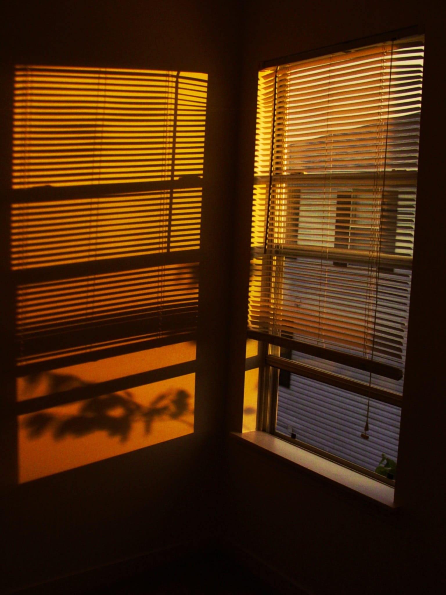 Sunlight, home interior, safety, window frame, no people, protection, nature, shadow, 1080P, sky, window view, built structure, architecture, pattern, Phone HD Wallpaper