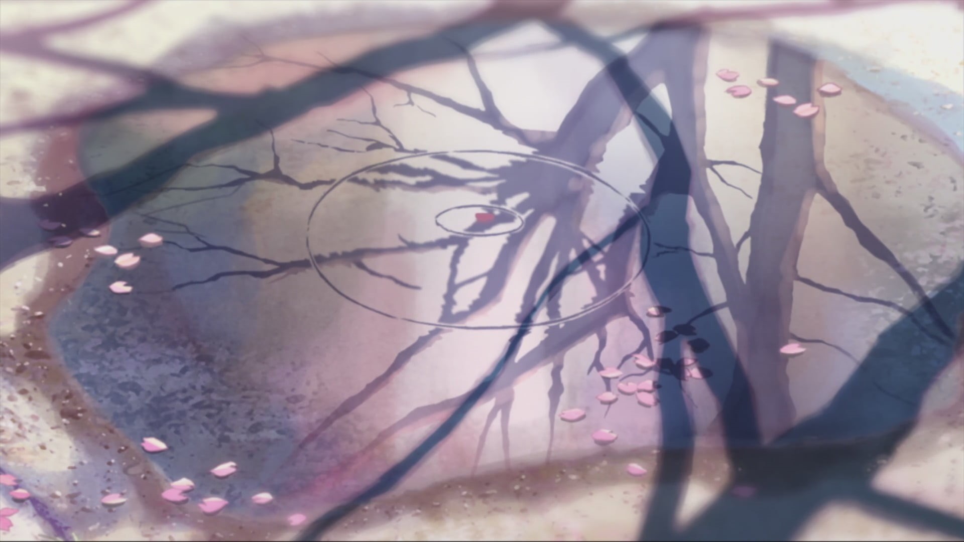 plant, water, anime, pink, tree, still life, shadow, sunlight, artwork, growth, cherry blossom, branch, Makoto Shinkai , nature, body part, close-up, selective focus, HD Wallpaper