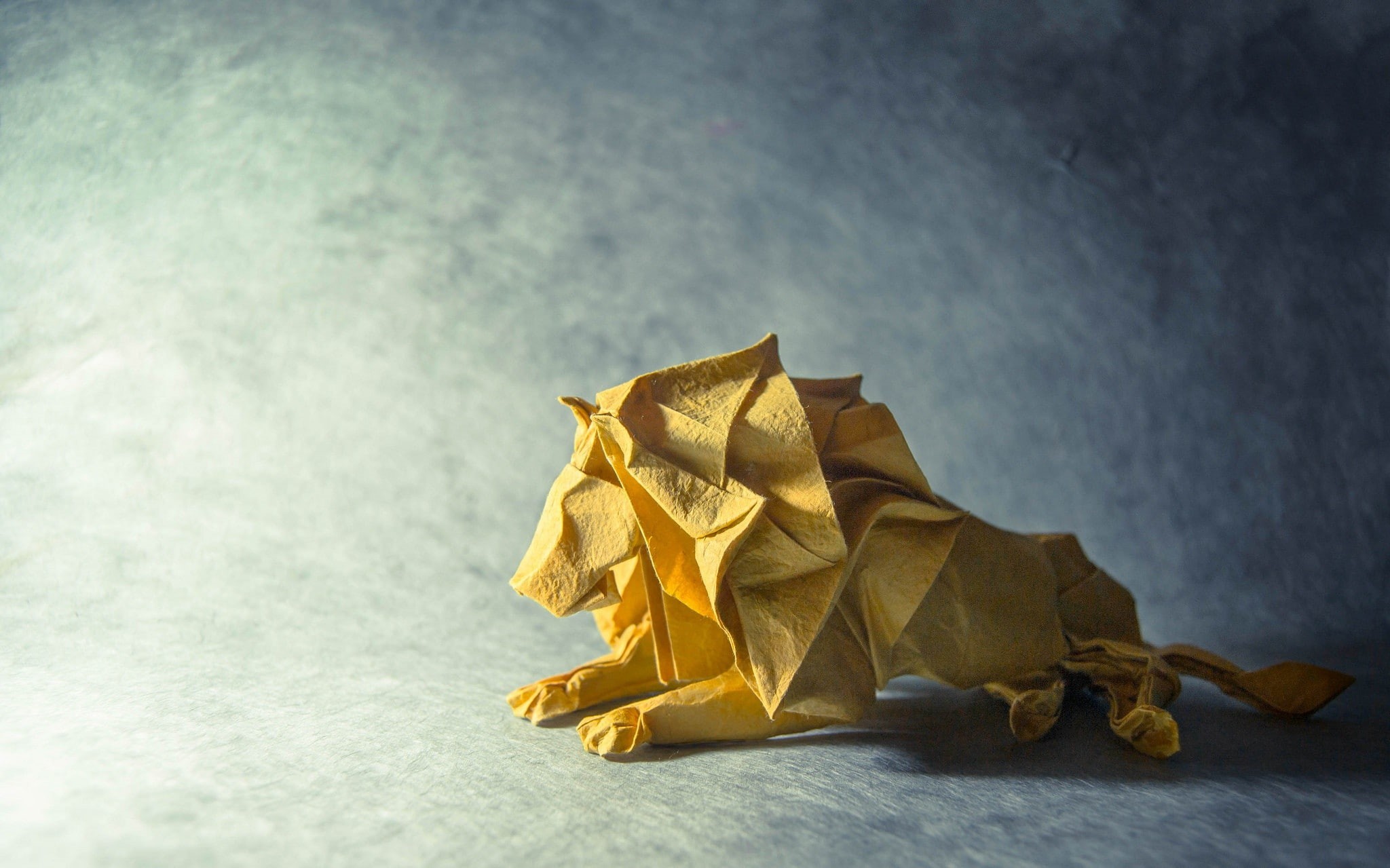 lion, contemplation, paper, 1080P, gold colored, animals, no people, studio shot, nature, retro styled, still life, copy space, yellow, focus on foreground, HD Wallpaper