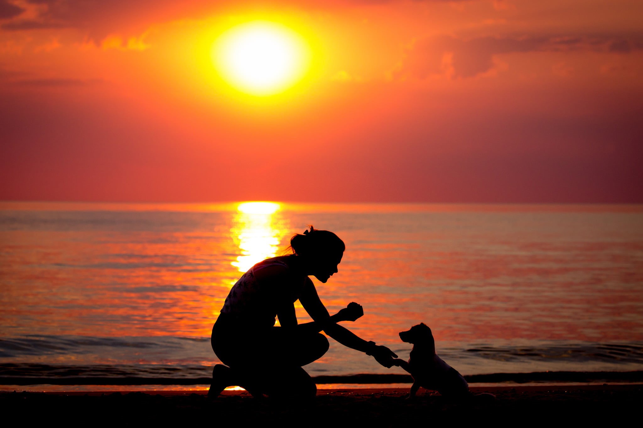 men, sea, son, sun, relaxation, silhouette, outdoors, healthy Lifestyle, sky, 1080P, daughter, back Lit, males, girls, boys, orange color, mother, baby, HD Wallpaper