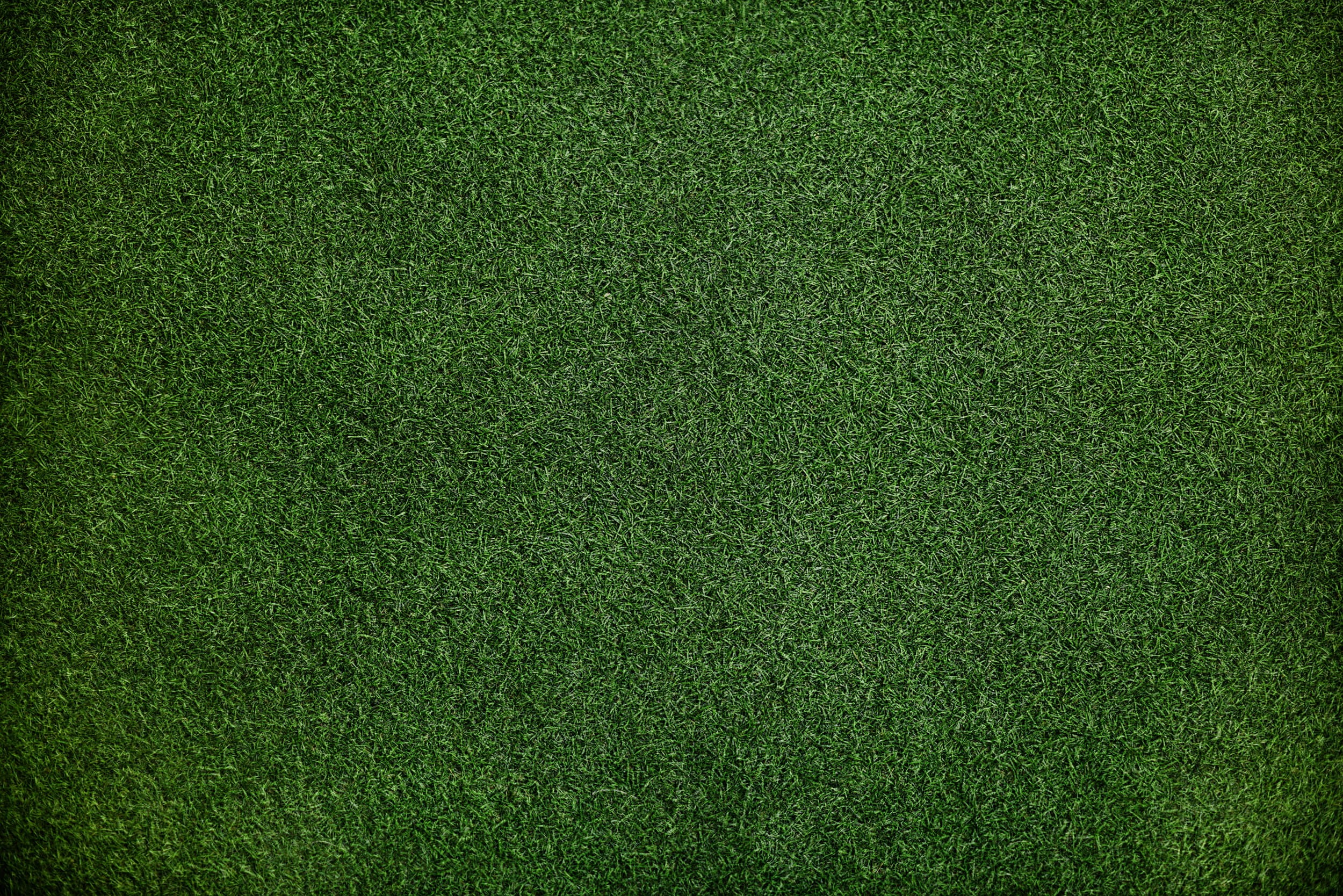 blank, full frame, playing field, textured effect, rough, design, copy space, clean, no people, backgrounds, cover, background, american football - sport, HD Wallpaper