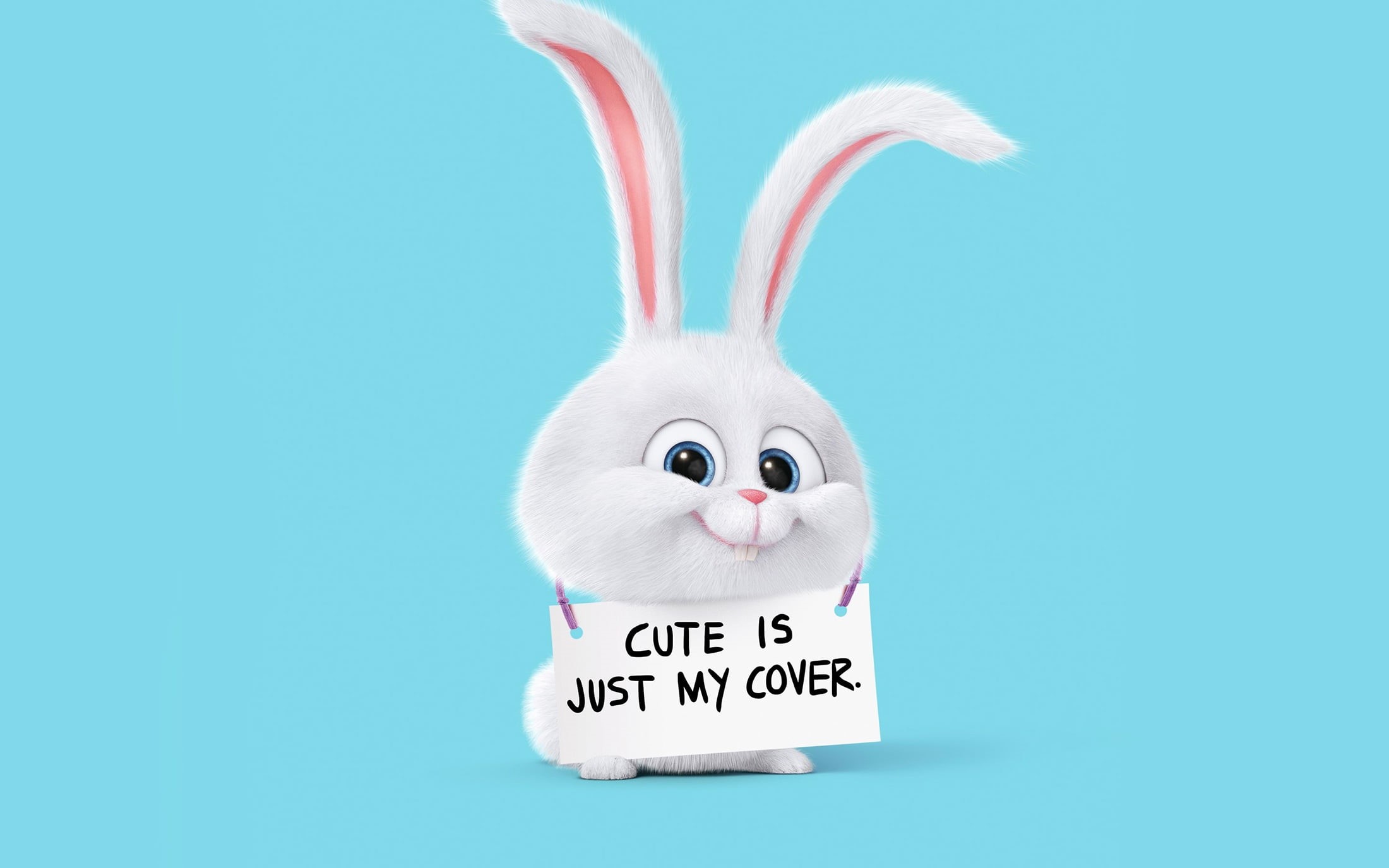 Movie, The Secret Life of Pets 2, 1080P, Snowball (The Secret Life of Pets), HD Wallpaper