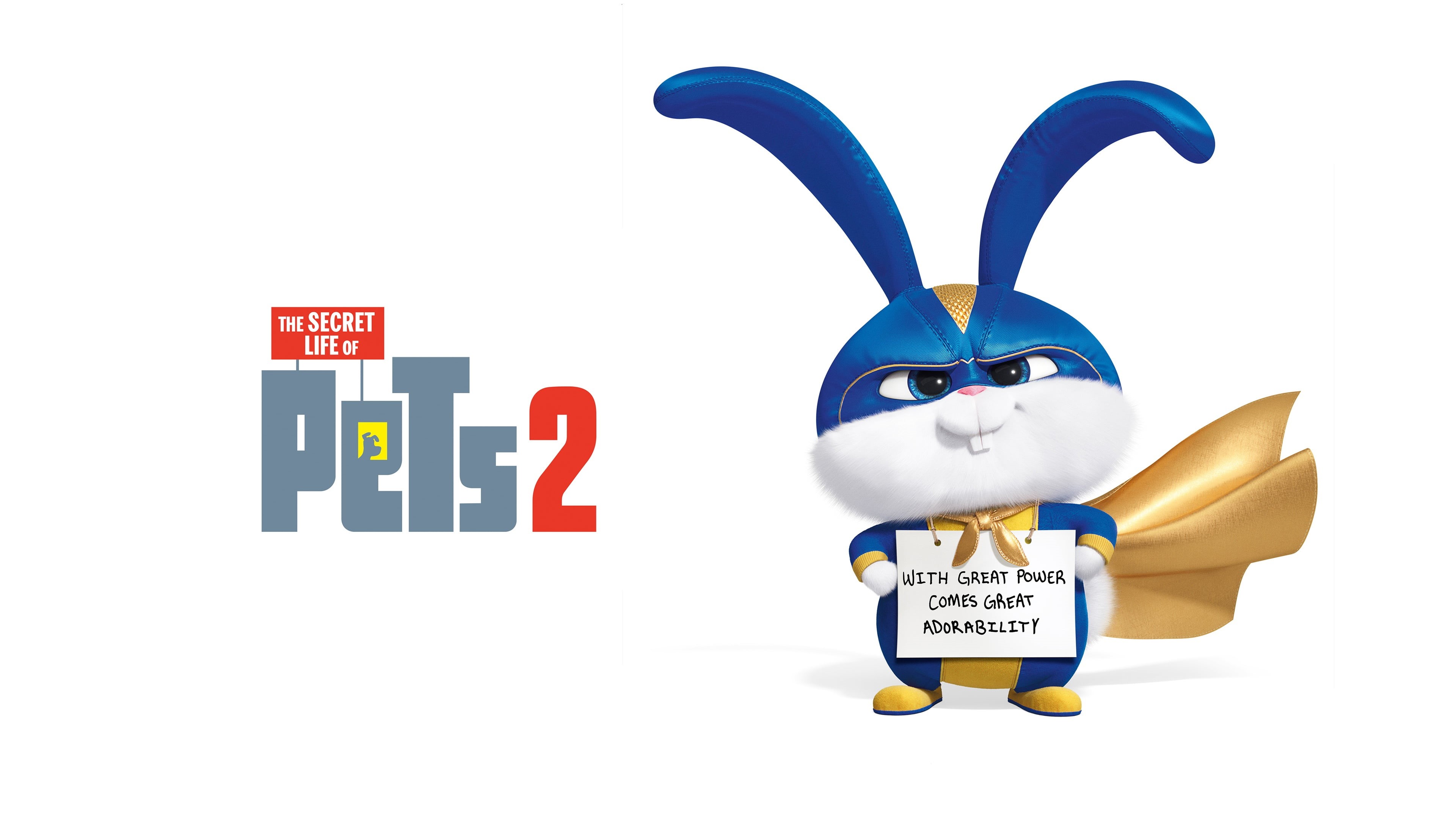 Movie, 4K, Snowball (The Secret Life of Pets), The Secret Life of Pets 2, HD Wallpaper