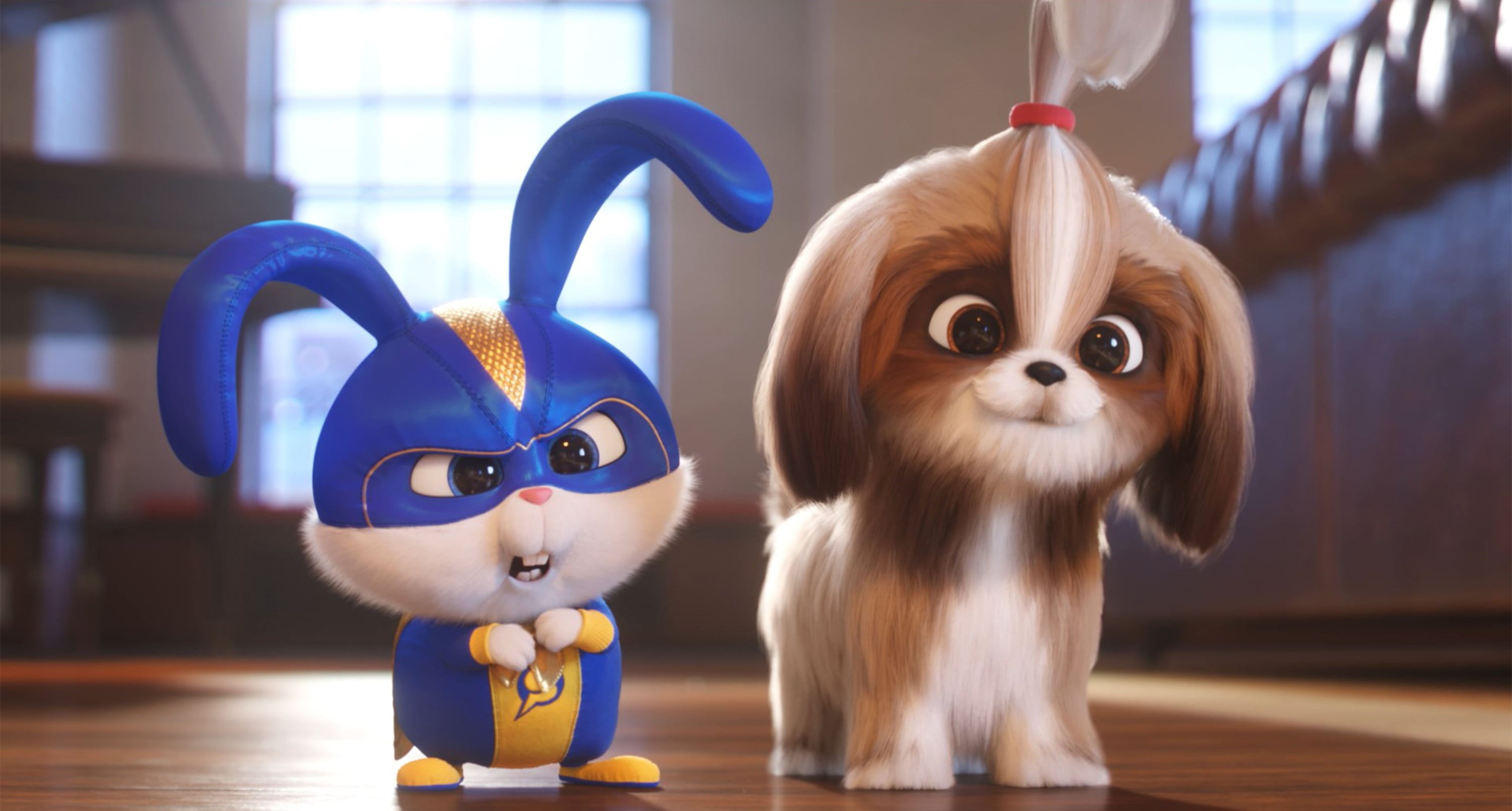 2K, The Secret Life of Pets 2, Movie, HD Wallpaper