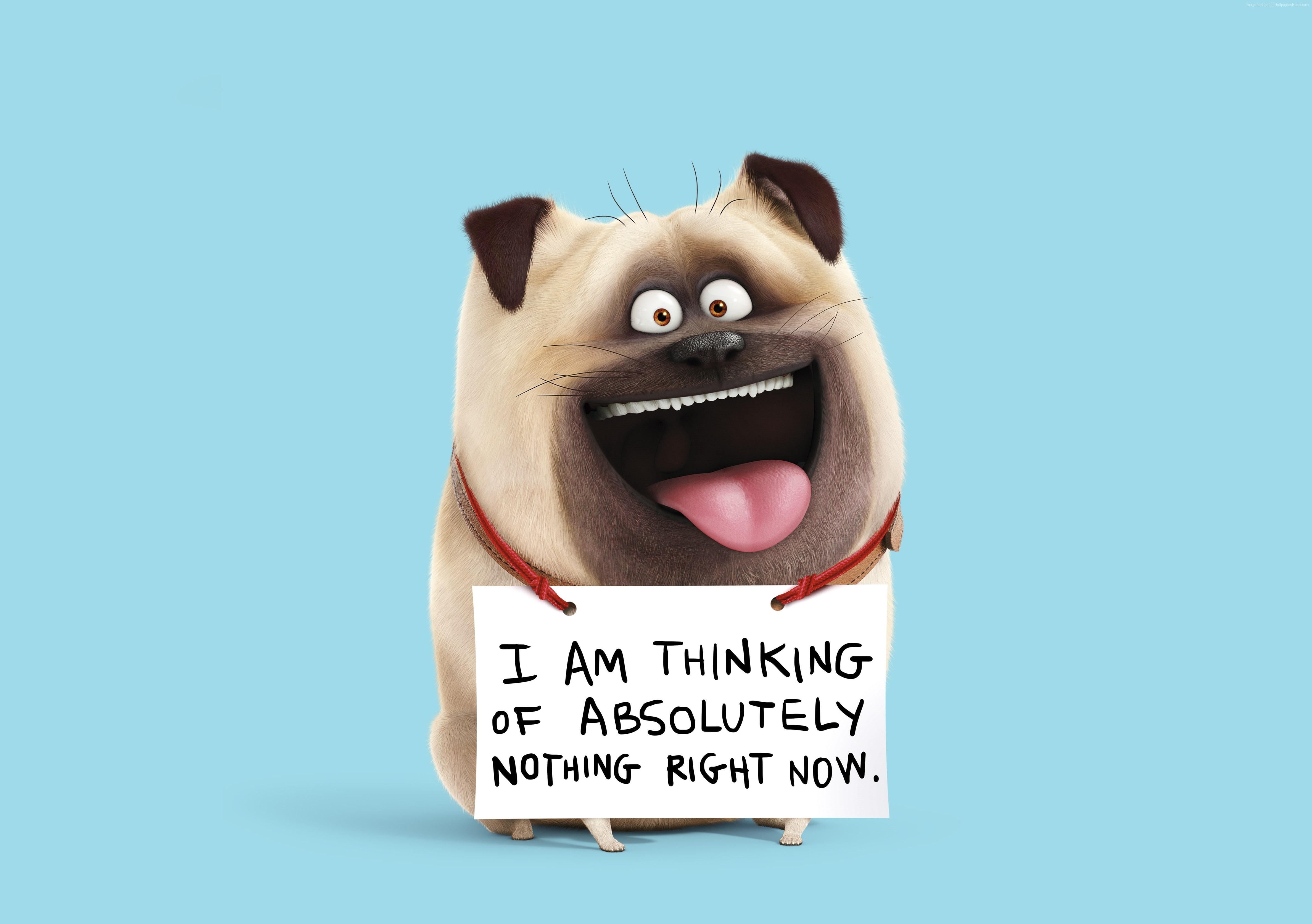 mel, Best Animation Movies of 2016, cartoon, The Secret Life of Pets, 4K, HD Wallpaper