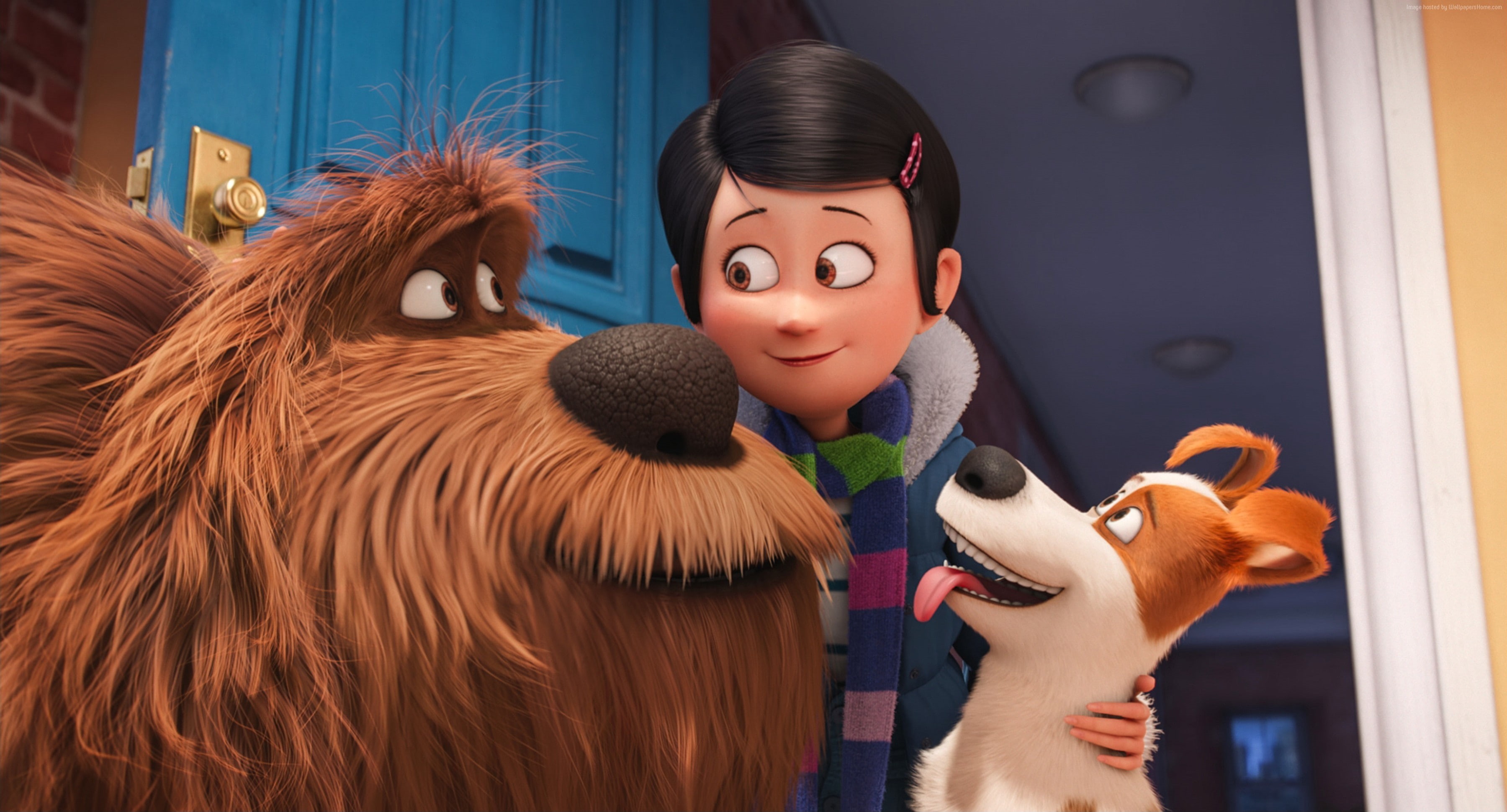 cartoon, Best Animation Movies of 2016, 2K, dog, The Secret Life of Pets, HD Wallpaper