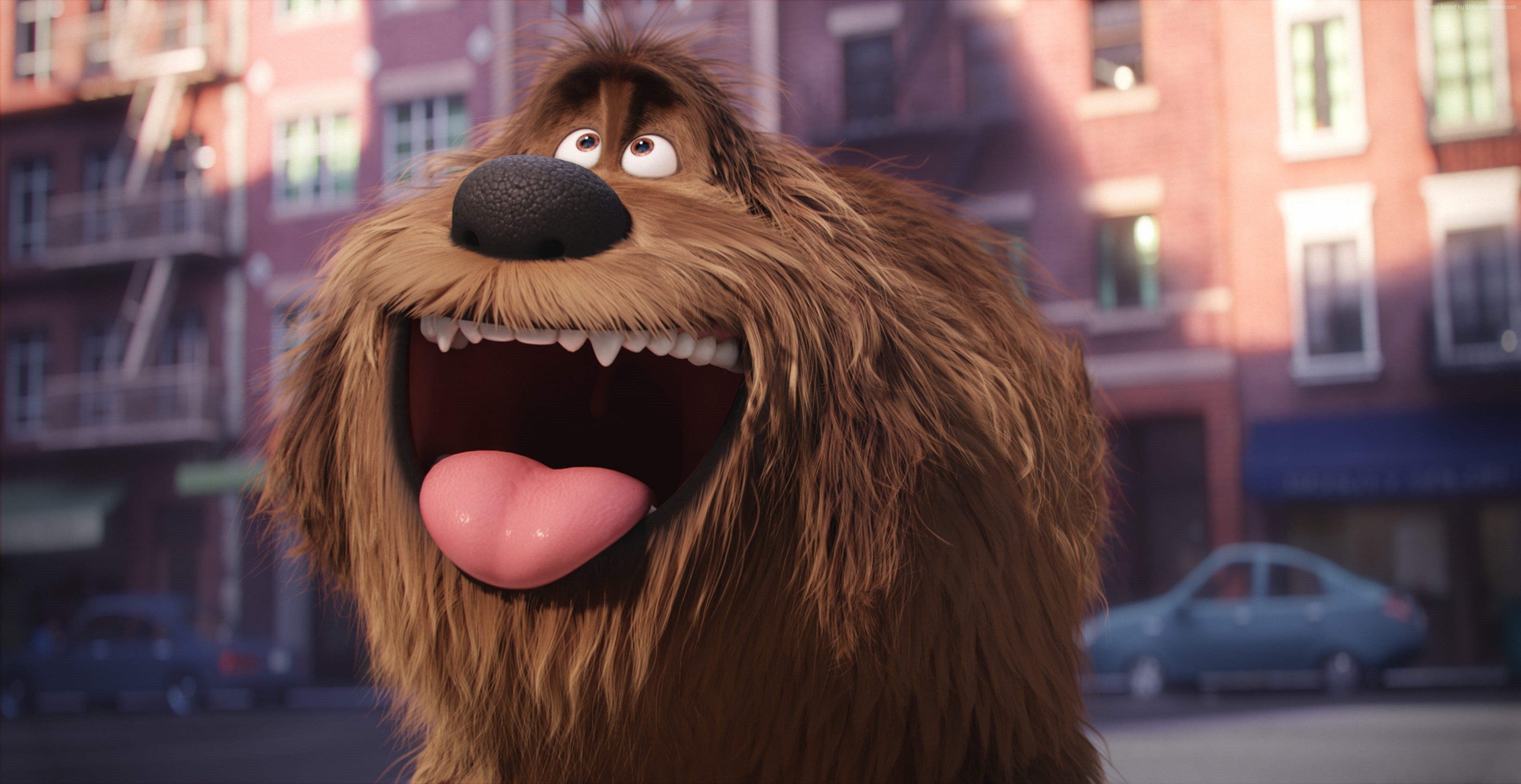 Best Animation Movies of 2016, 2K, cartoon, duke, dog, The Secret Life of Pets, HD Wallpaper