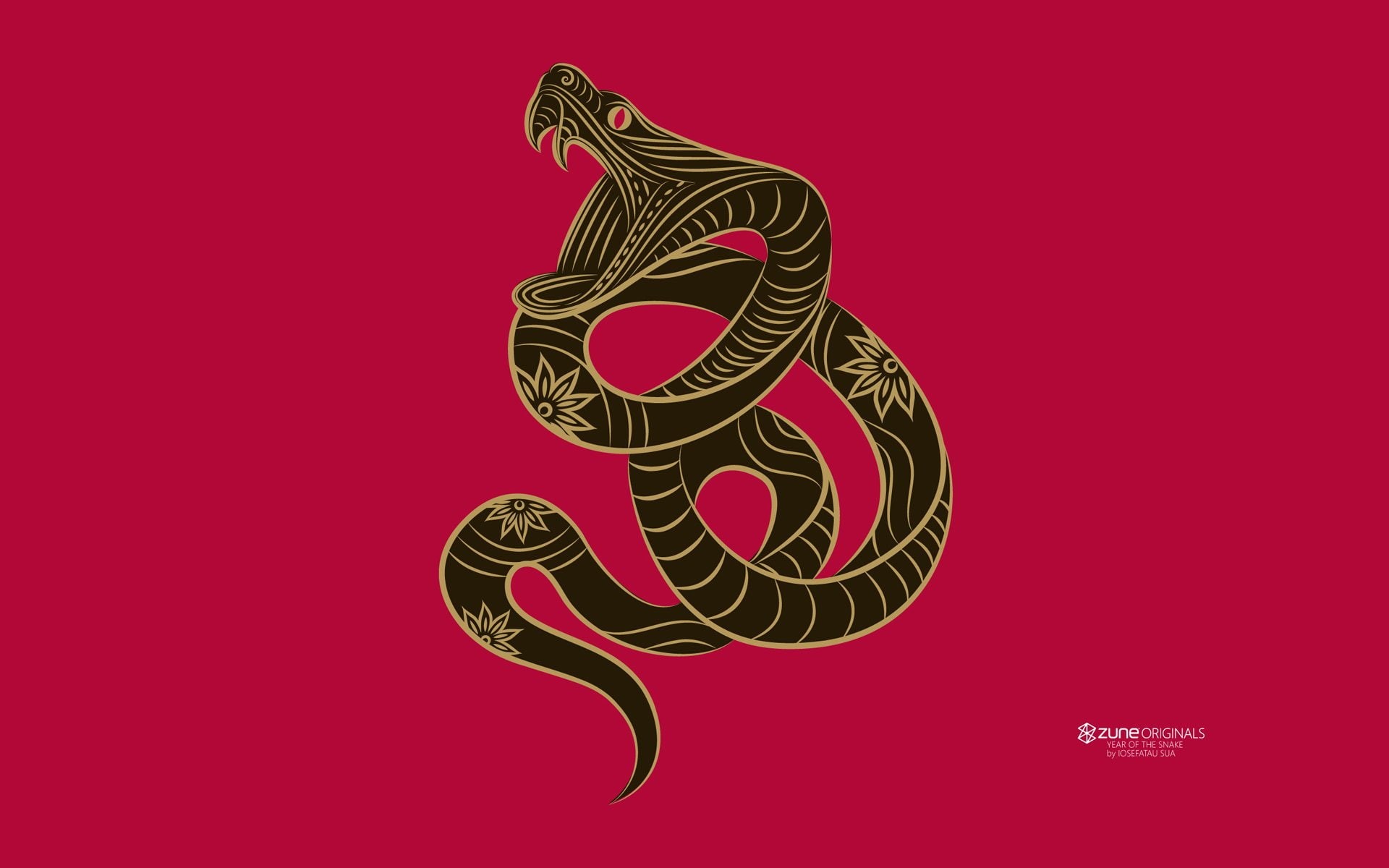 1080P, Snake, Products, Zune, Zodiac, HD Wallpaper