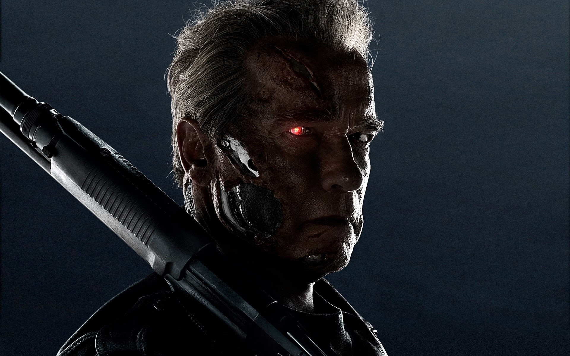 Schwarzenegger, Terminator, Arnold, 1080P, Genisys, HD Wallpaper