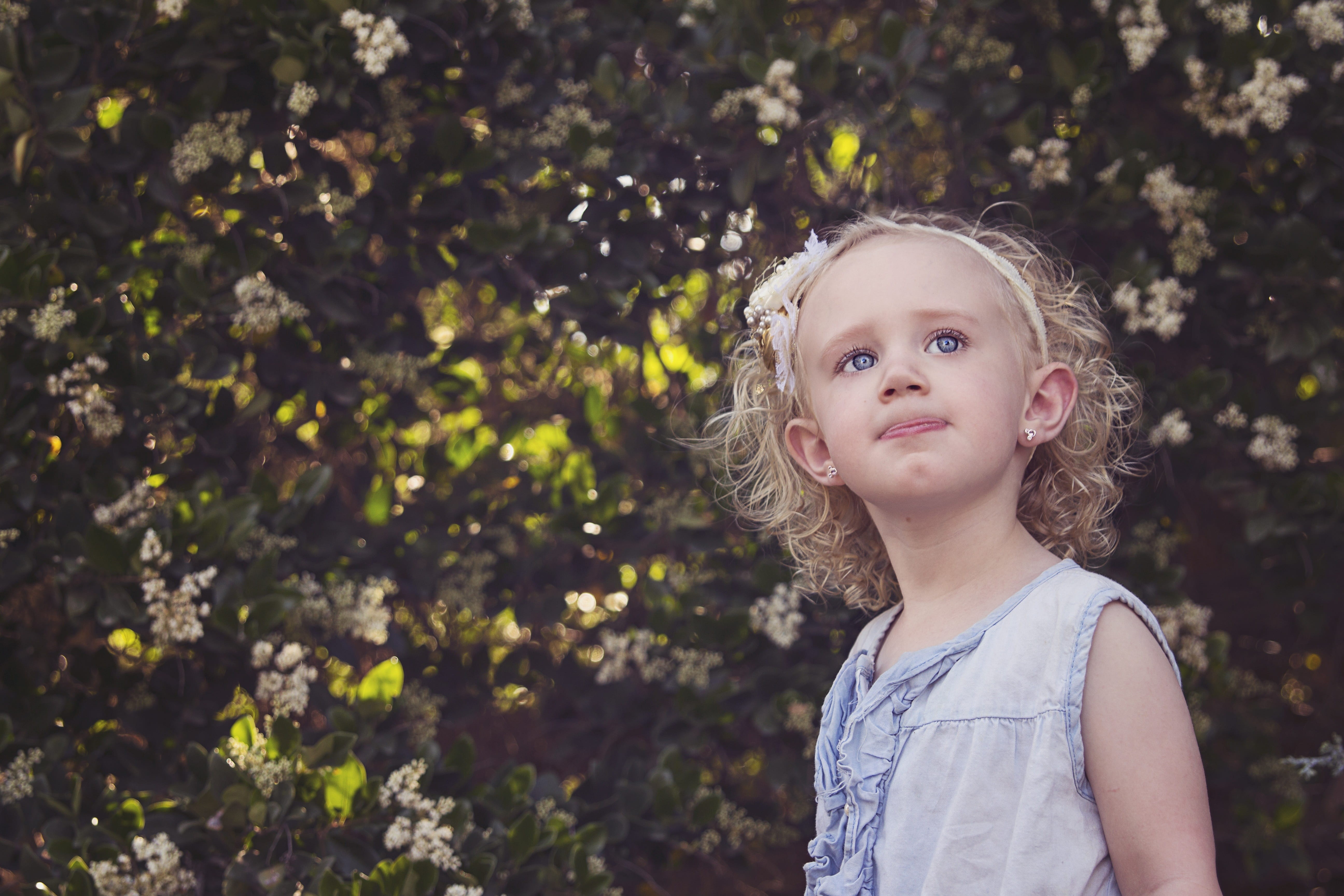 portrait, cute, girls, offspring, innocence, girl, white, natural, people, leaf, hair, one person, nature, eyes, looking at camera, flowering plant, childhood, HD Wallpaper