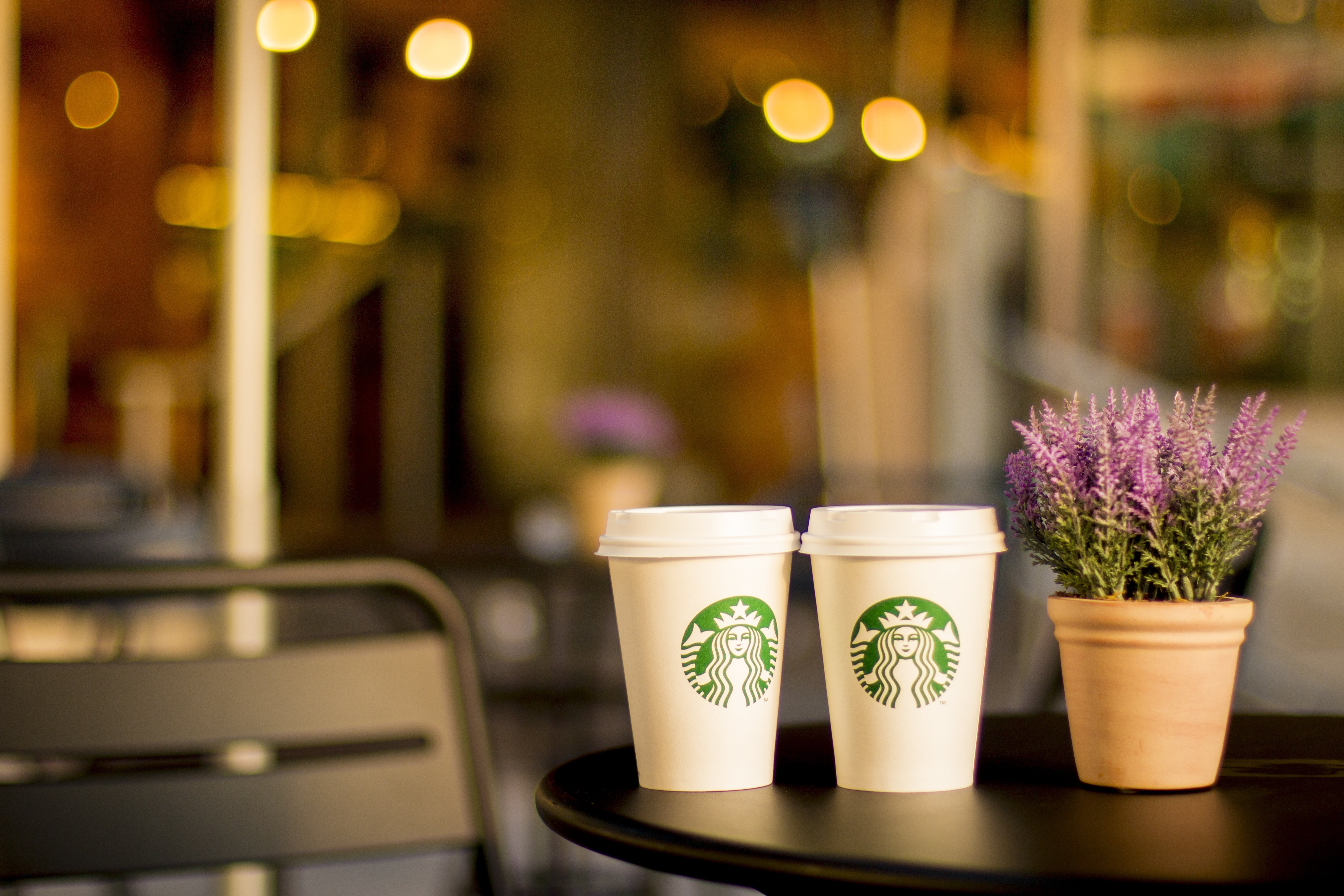 cups, herb, potted plant, lifestyle, flower pot, coffeehouse, freshness, starbucks, flowering plant, table, wooden, indoors, close-up, business, plant, HD Wallpaper
