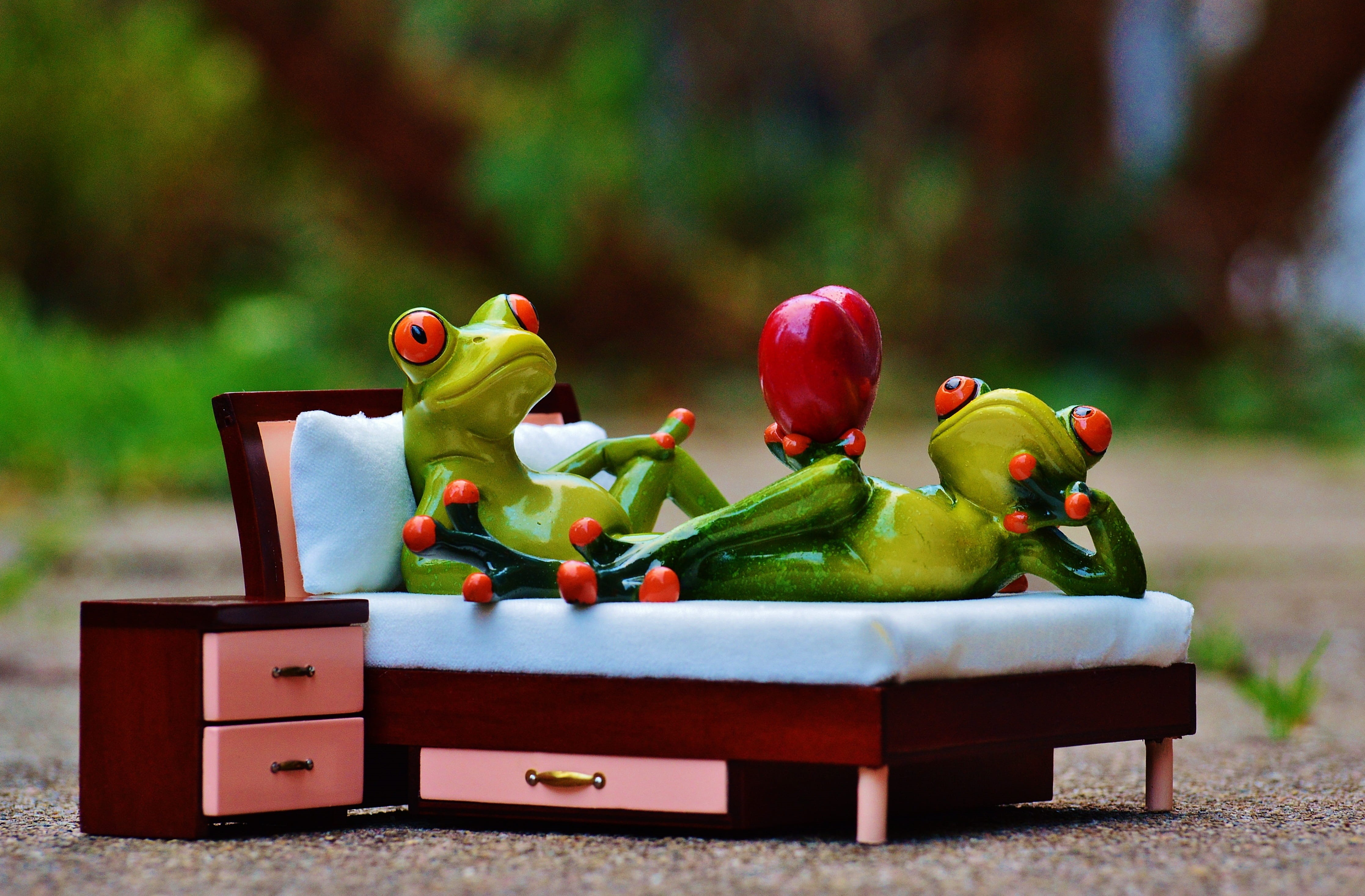 pepper, freshness, two, togetherness, love, selective, animal, food and drink, miniatures, day, focus, 4K, no people, selective focus, ceramic, frog, near, HD Wallpaper