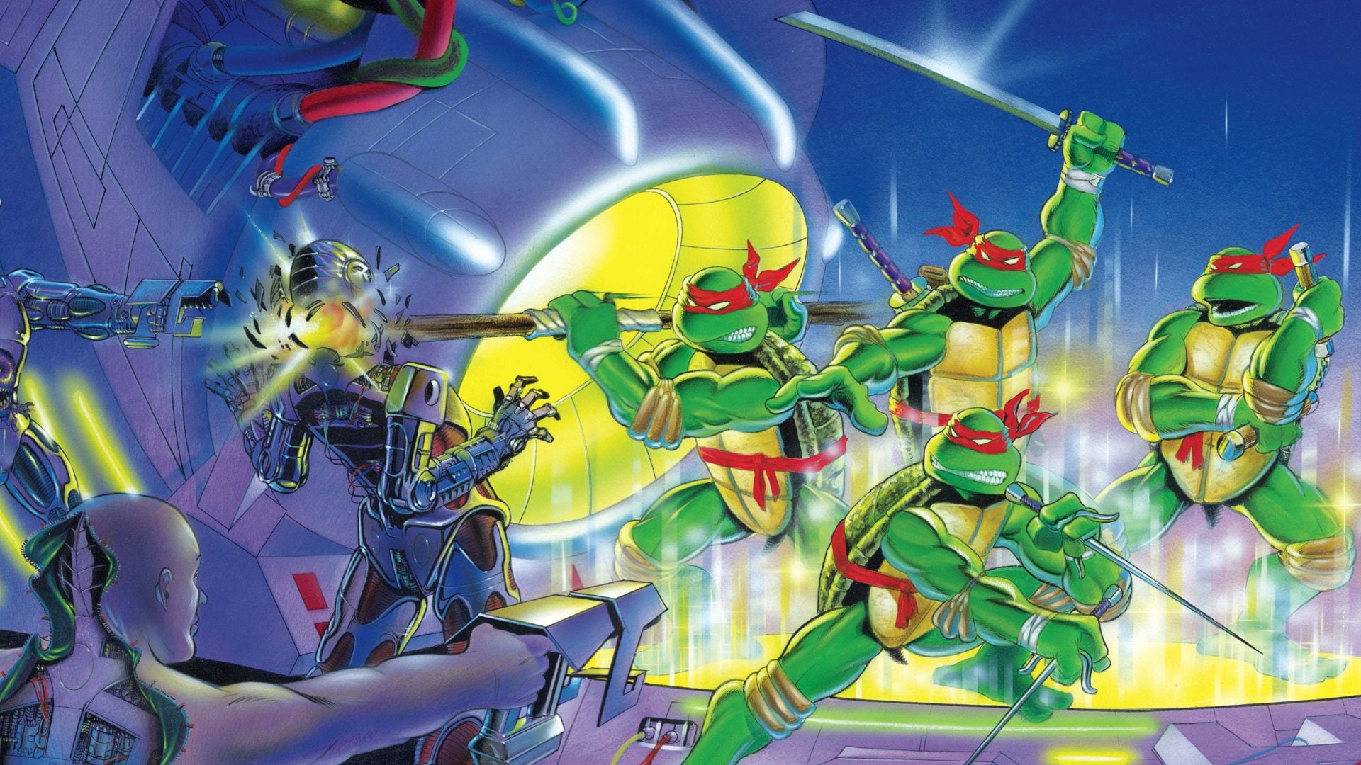 representation, 1080P, healthcare and medicine, choice, no people, animal representation, indoors, retail display, technology, Raphael (TMNT), business, HD Wallpaper