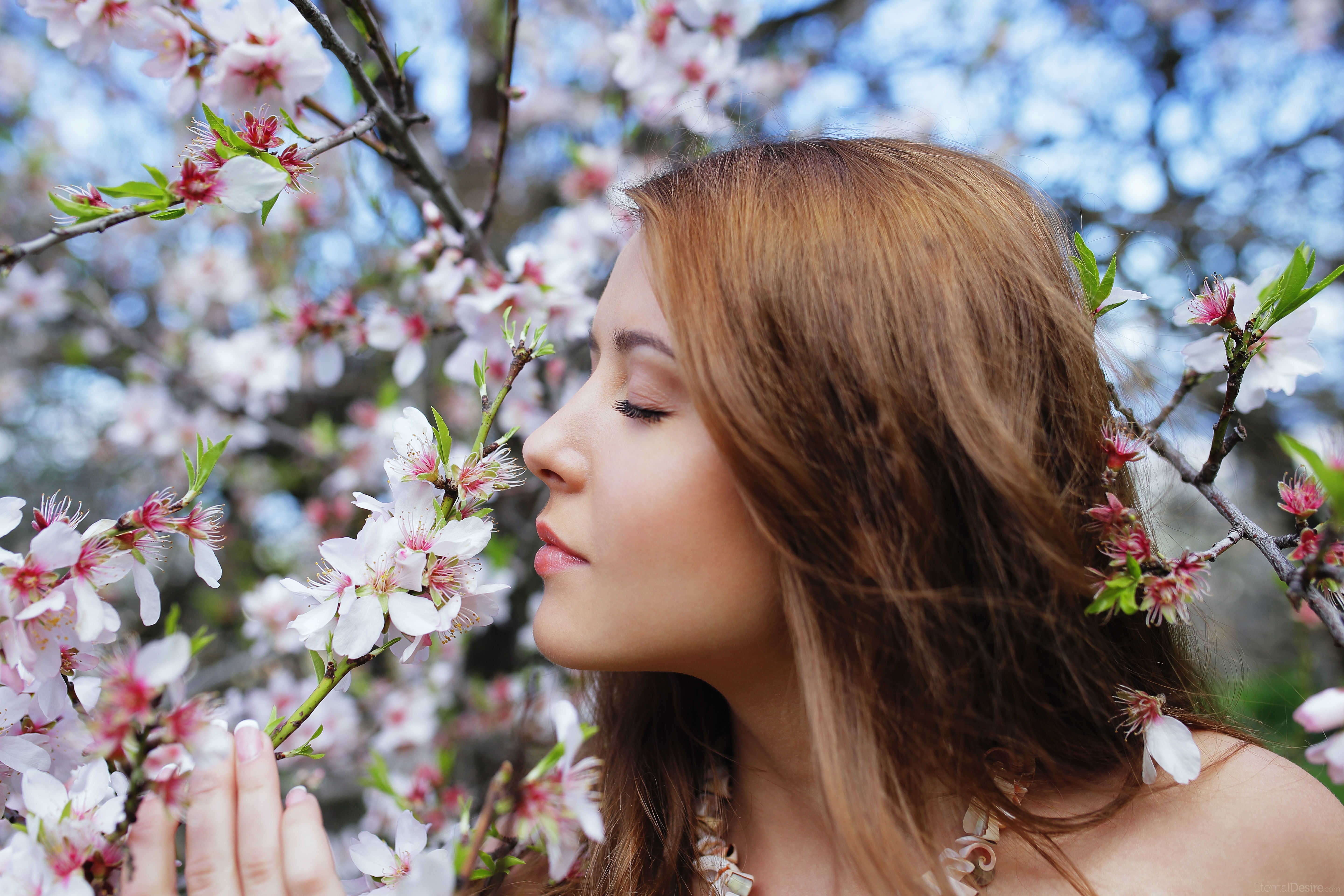 headshot, Sybil A, portrait, plant, hairstyle, outdoors, Eternal Desire Magazine, face, profile, blossom, springtime, young women, flowering plant, adult, HD Wallpaper