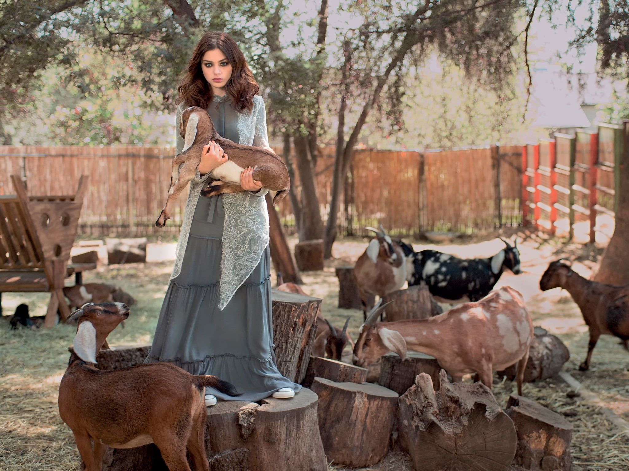 nature, pets, one person, day, women, vertebrate, hairstyle, Odeya Rush, goats, domestic animals, domestic, Grey, adult, group of animals, standing, 1080P, HD Wallpaper