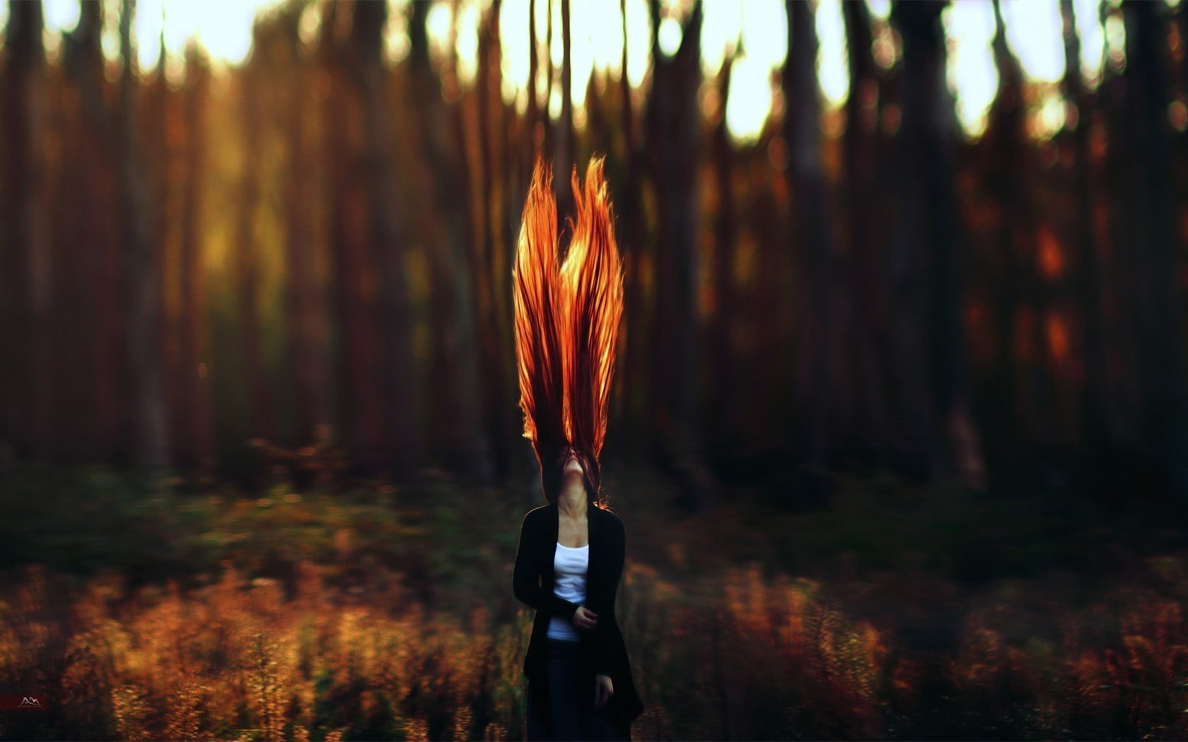 model, close-up, cheerful, freedom, happiness, scenics - nature, men, tranquility, black coat, orange Color, outdoors, beauty In Nature, autumn, elegance, HD Wallpaper