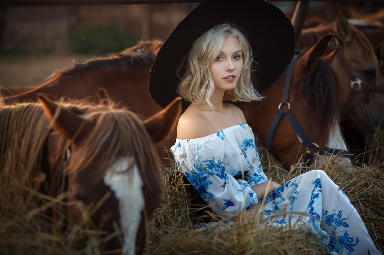 animal wildlife, blonde, hairstyle, domestic animals, fashion, real people, horse, livestock, hat, bare shoulders, mammal, women outdoors, hair, black hat, HD Wallpaper