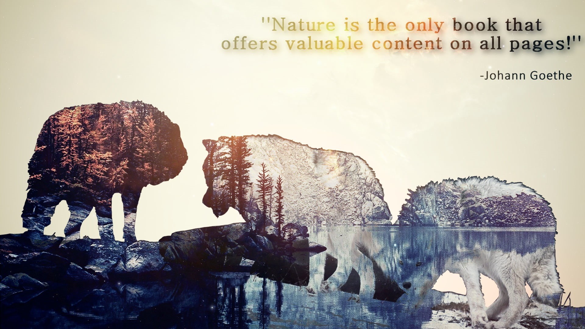 rock - object, 1080P, digital art, landscape, winter, art and craft, architecture, typography, johann, information, valuable, representation, book, wolf, HD Wallpaper