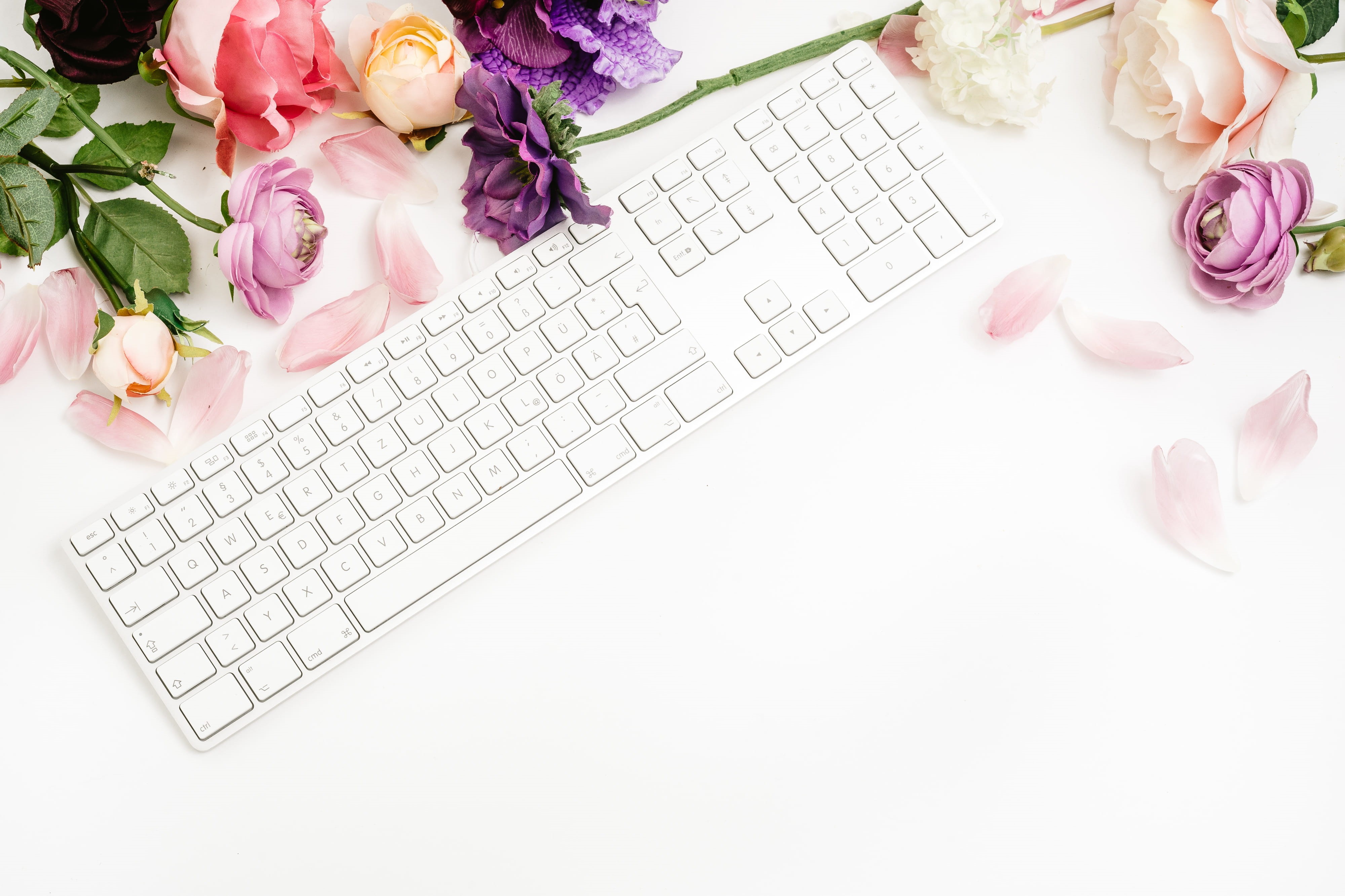 work, inflorescence, flat, petal, feminine, top, modern, minimal, studio shot, flatlay, website, nature, flower arrangement, up, flower, photographer, white, HD Wallpaper