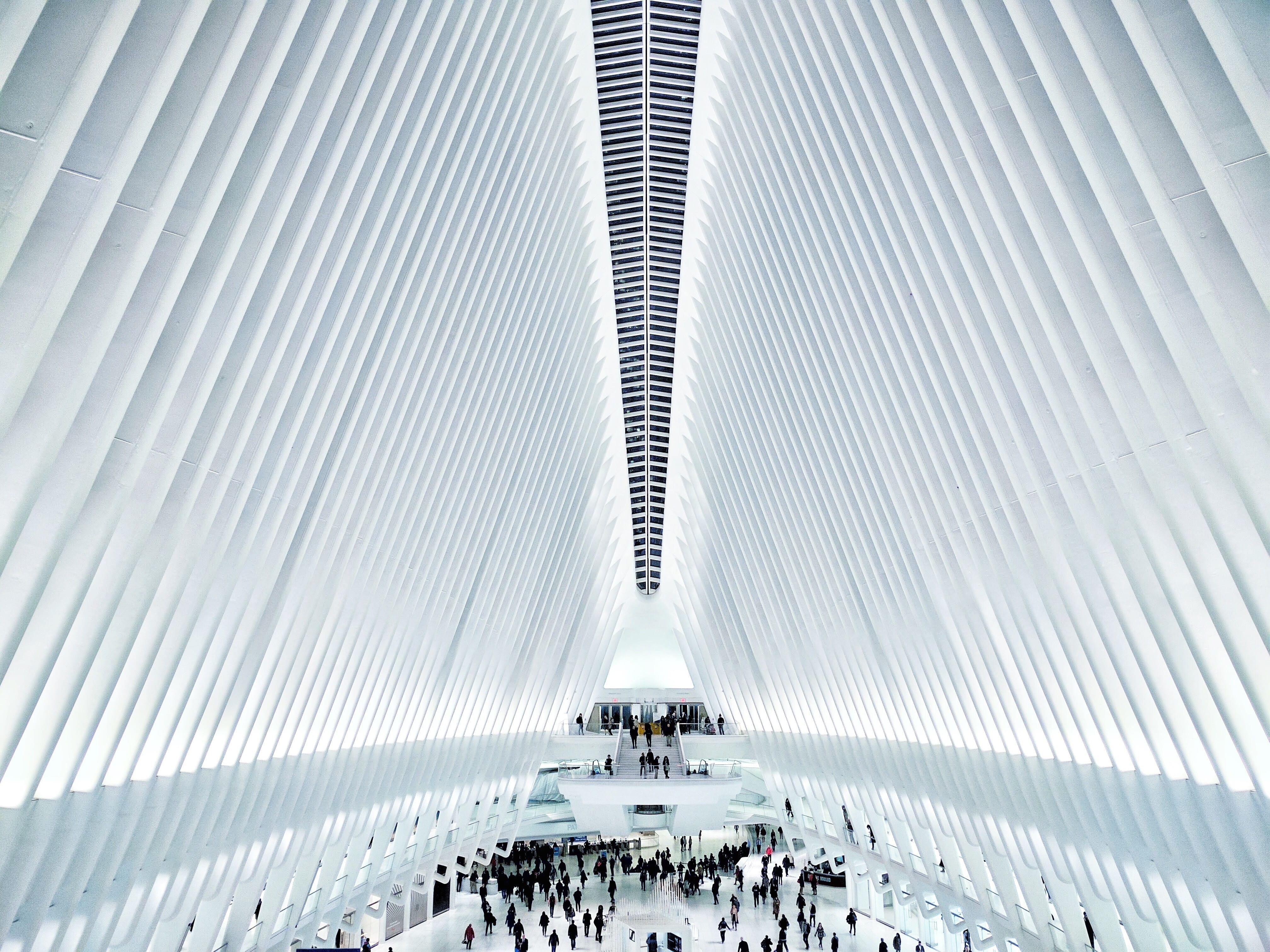 oculu, city, lifestyles, motion, building, ceiling, real people, nyc, day, white, city life, people, vast, built structure, interior, commuter, high, group of people, HD Wallpaper