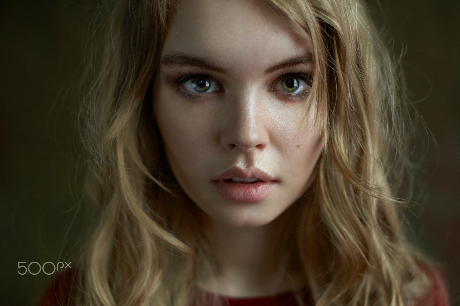 looking at viewer, women, beautiful woman, close-up, 720P, hairstyle, eyes, hair, blonde, face, headshot, portrait, blond hair, human face, long hair, HD Wallpaper