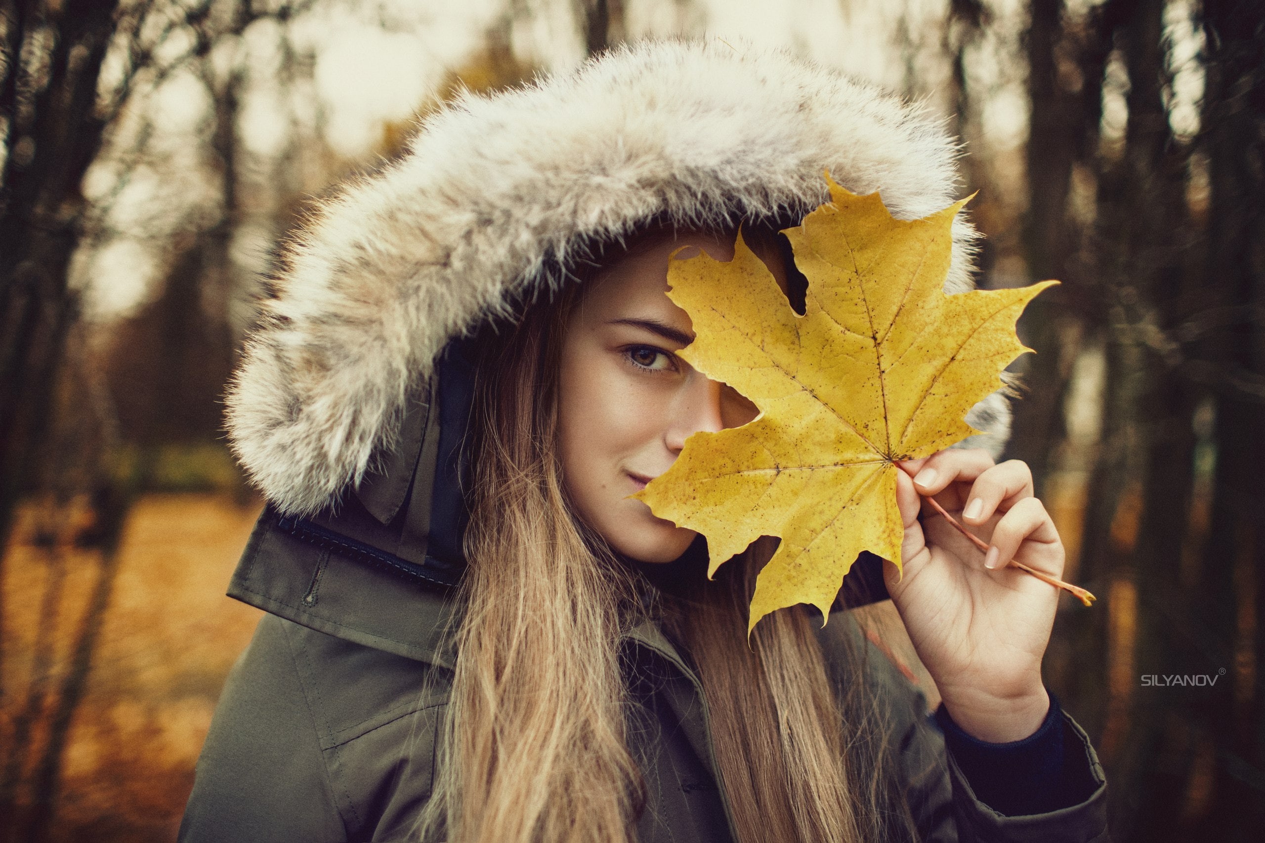 headshot, holding, young adult, plant part, winter, change, brunette, hairstyle, leaf, beautiful woman, Stanislav Silyanov, tree, portrait, hood - clothing, HD Wallpaper