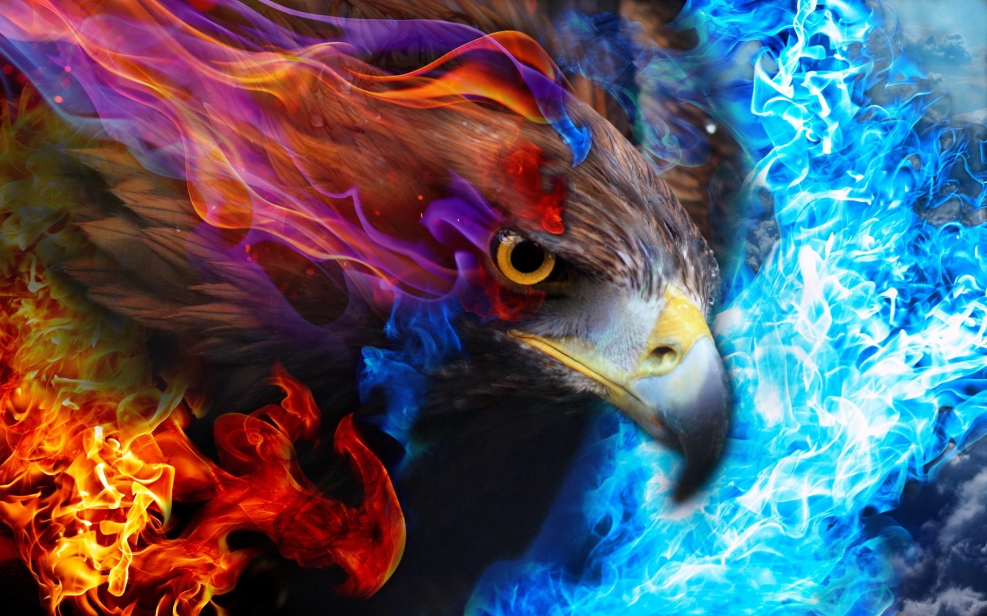 1080P, eagle, sky, fire, HD Wallpaper