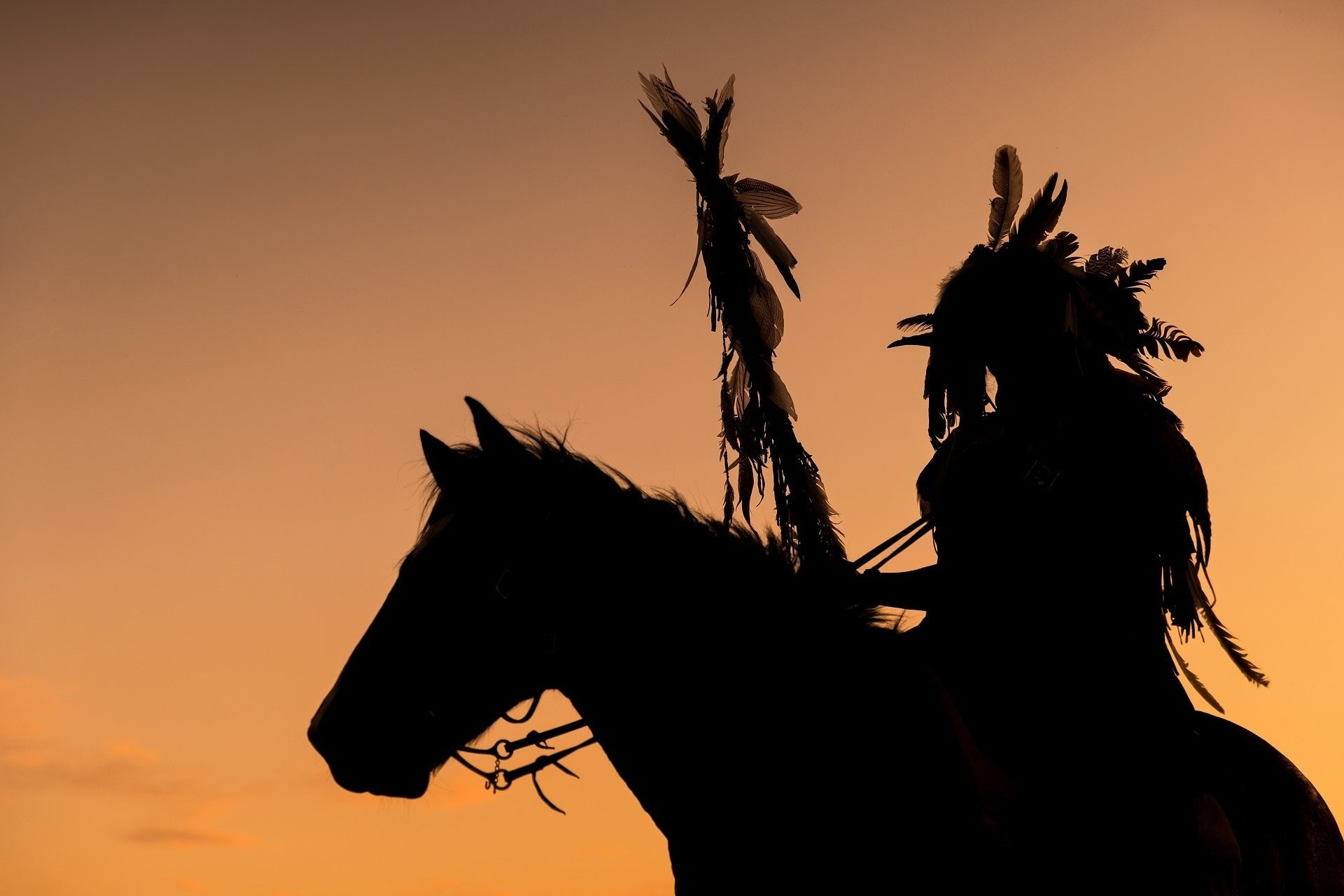 Silhouette, Native American, 1080P, Photography, Horse, HD Wallpaper