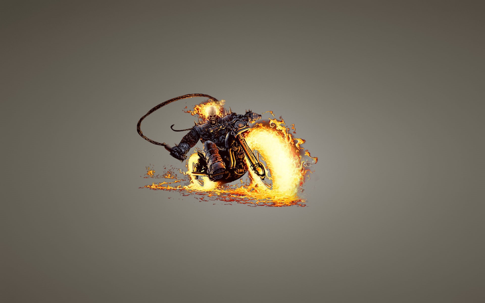close-up, skull, studio shot, one animal, minimalism, motorcycle, insect, healthy eating, copy space, animal wildlife, no people, indoors, bike, HD Wallpaper