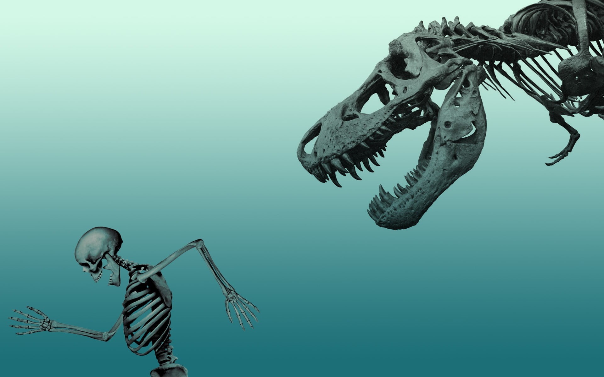 animals in the wild, water, sea, dinosaur, bone, indoors, blue, 1080P, animal wildlife, animal, dinosaurs, representation, no people, nature, low angle view, HD Wallpaper